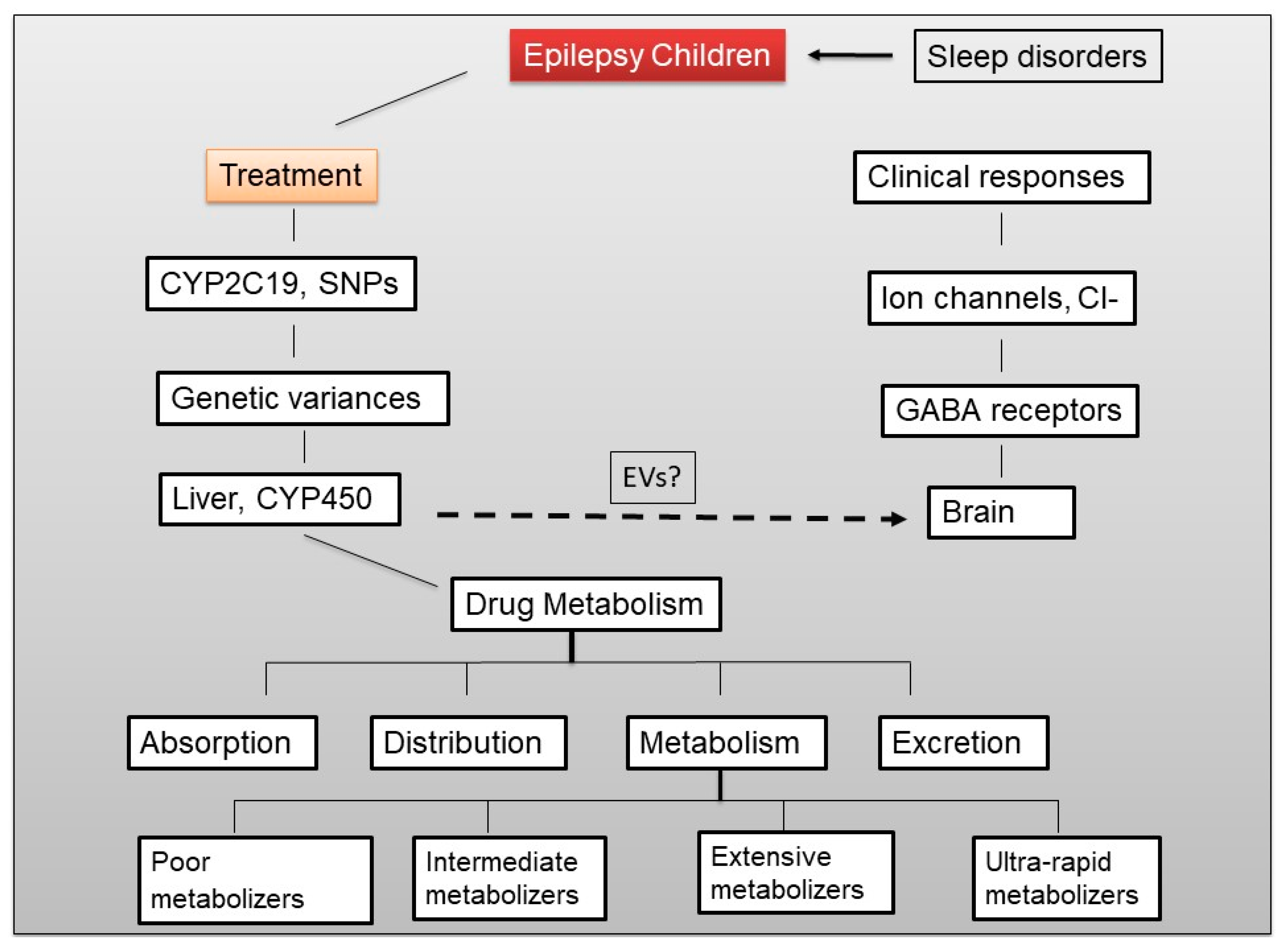 Ijms 20 05483 g001 Ijms 20 05483 g001