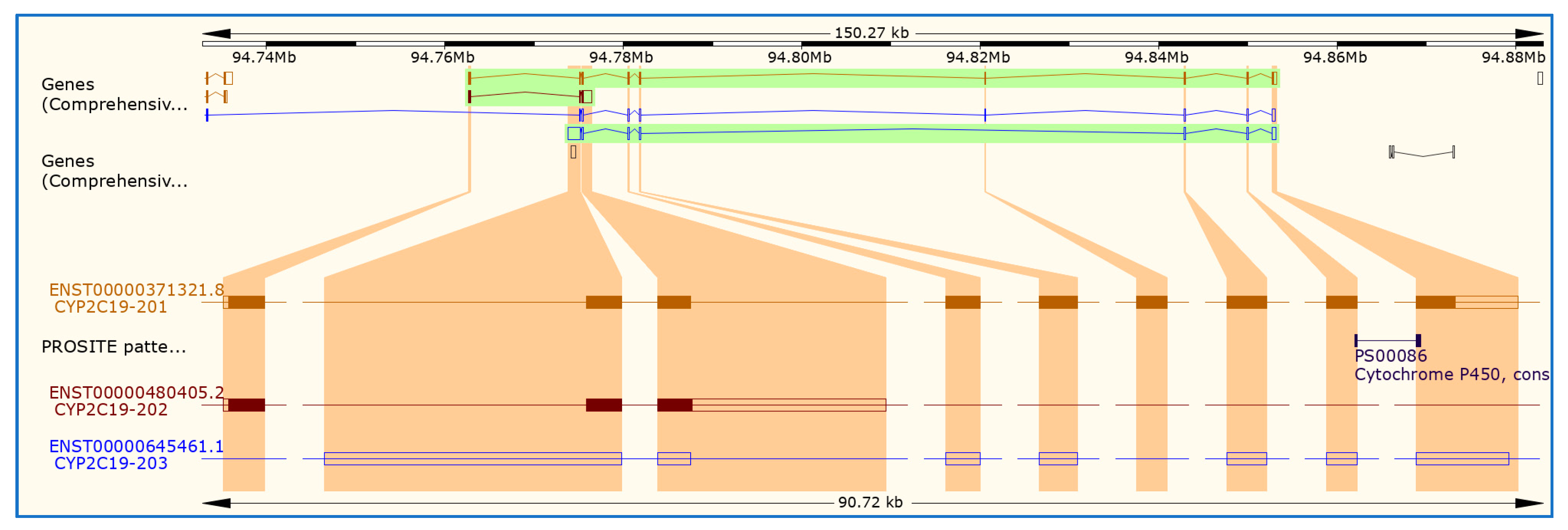 Ijms 20 05483 g003 Ijms 20 05483 g003