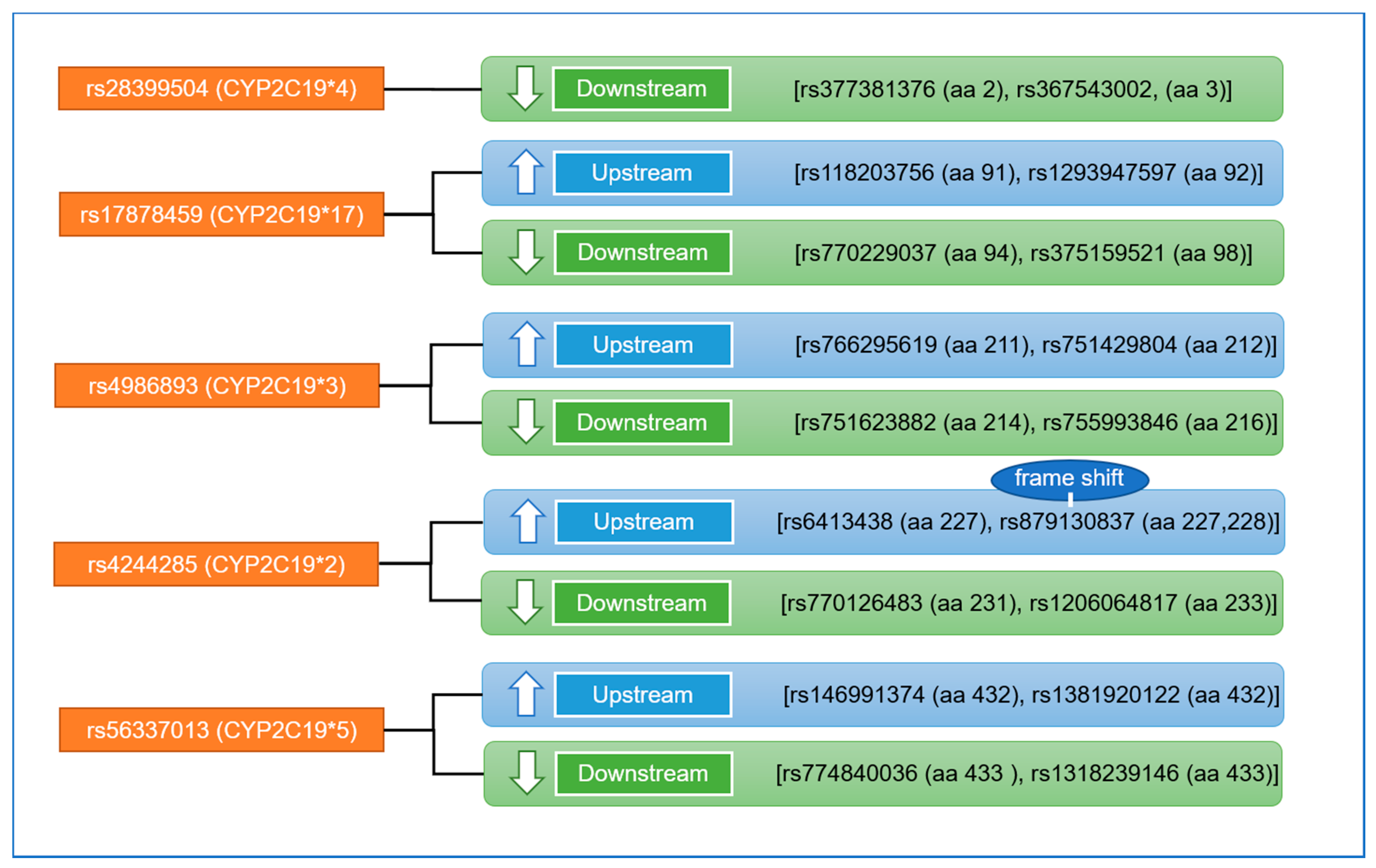 Ijms 20 05483 g006 Ijms 20 05483 g006