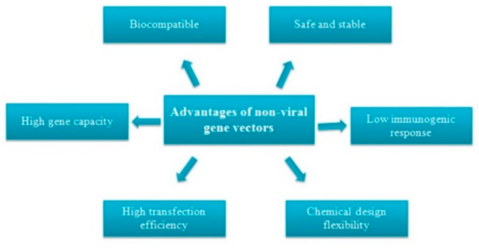 Ijms 20 05491 g001 Ijms 20 05491 g001