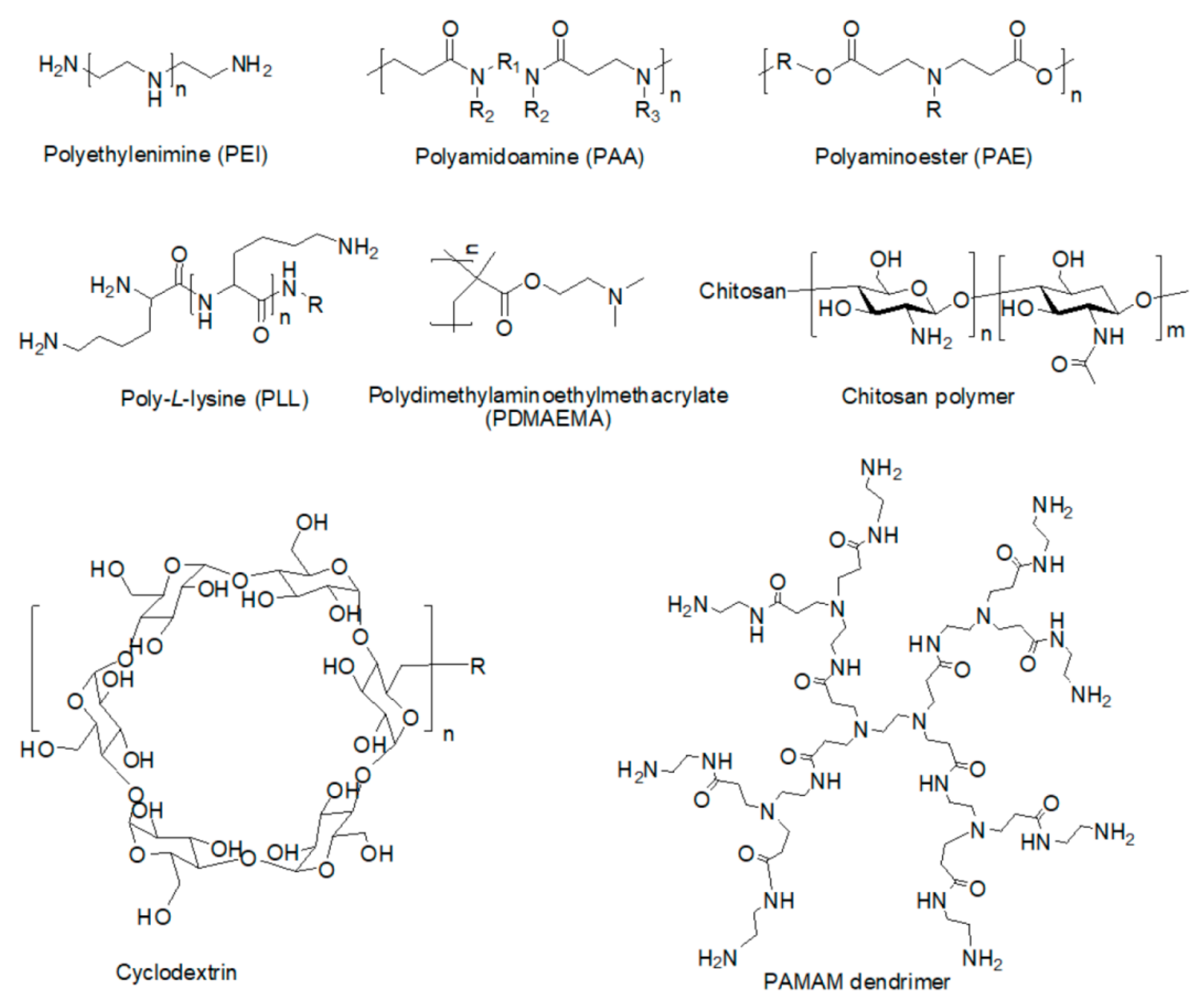 Ijms 20 05491 g004 Ijms 20 05491 g004