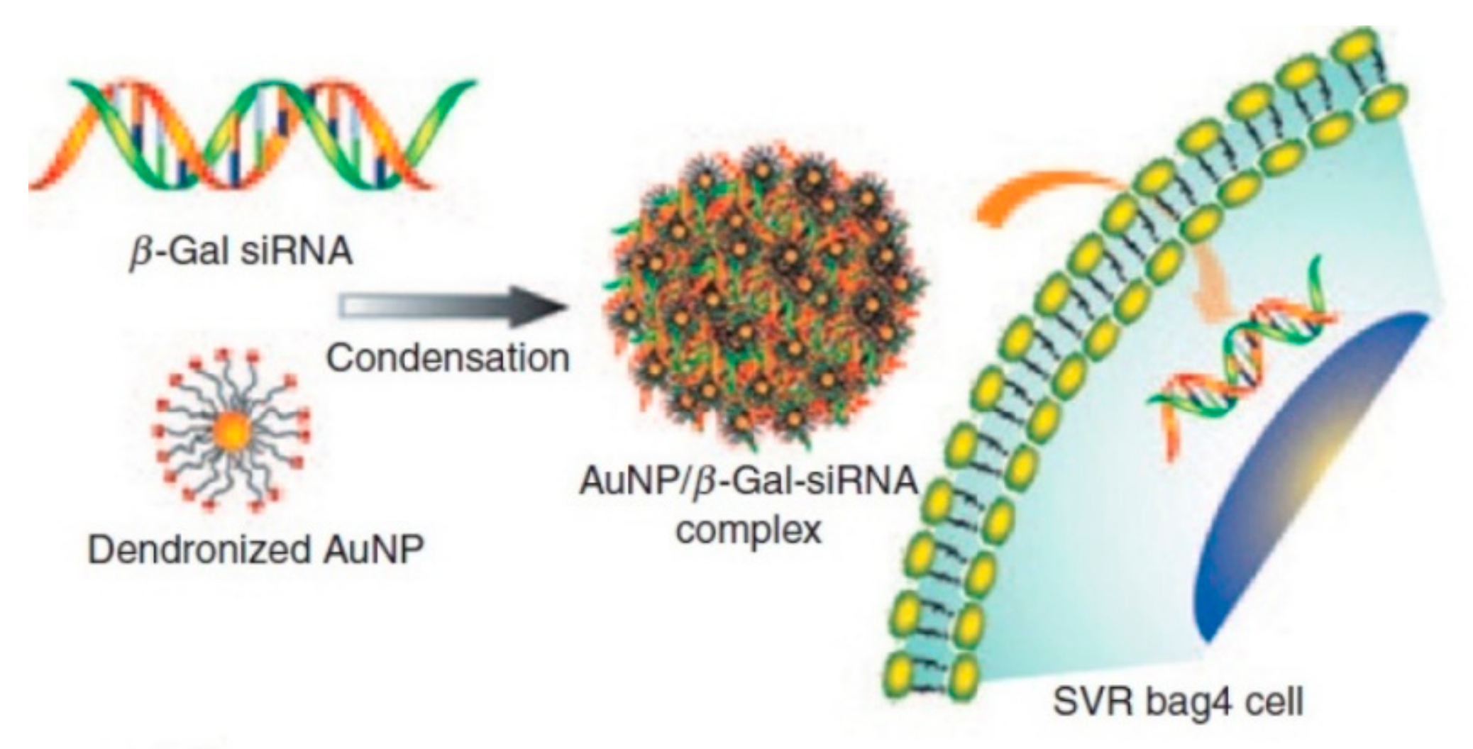 Ijms 20 05491 g005 Ijms 20 05491 g005