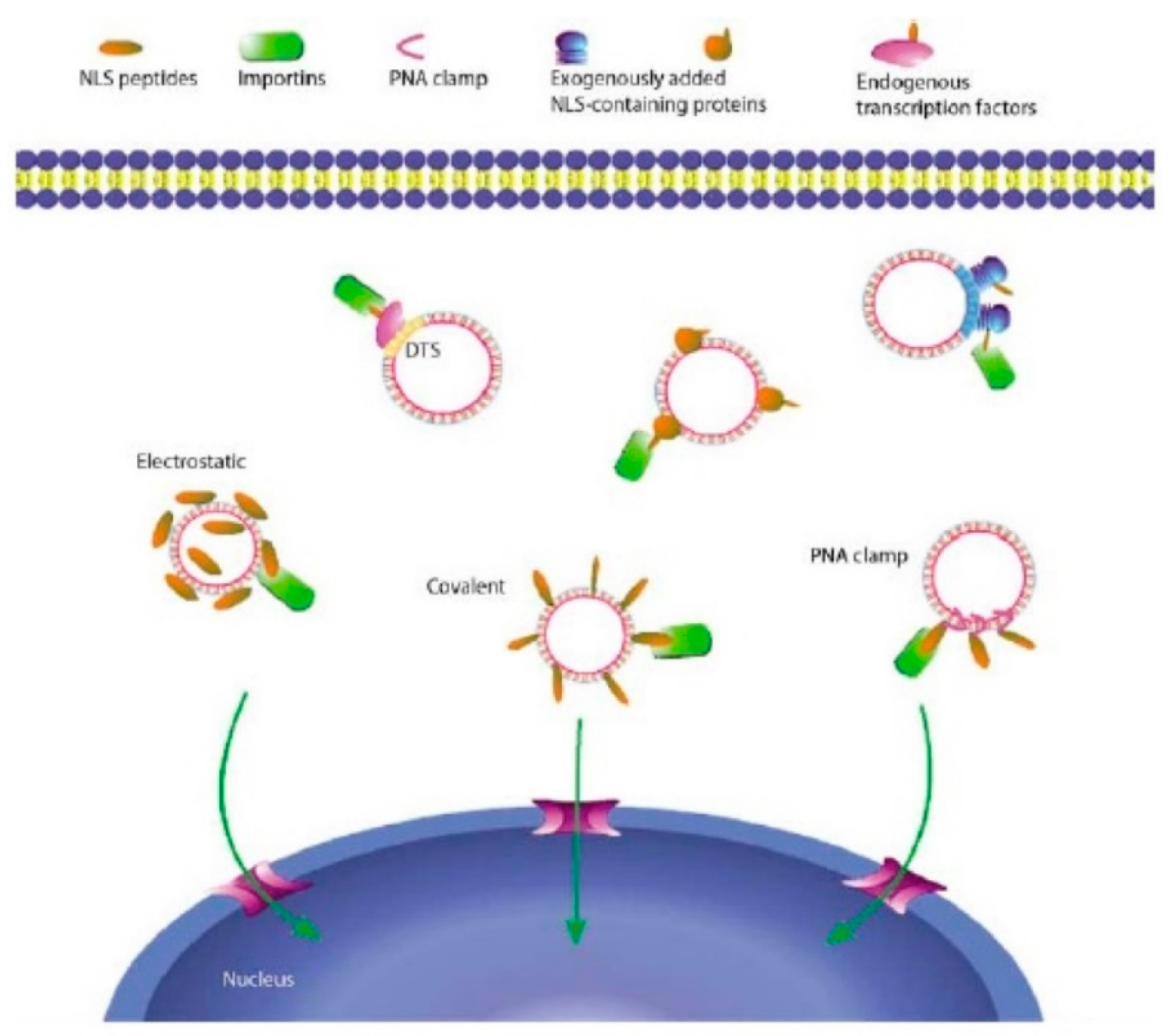 Ijms 20 05491 g006 Ijms 20 05491 g006