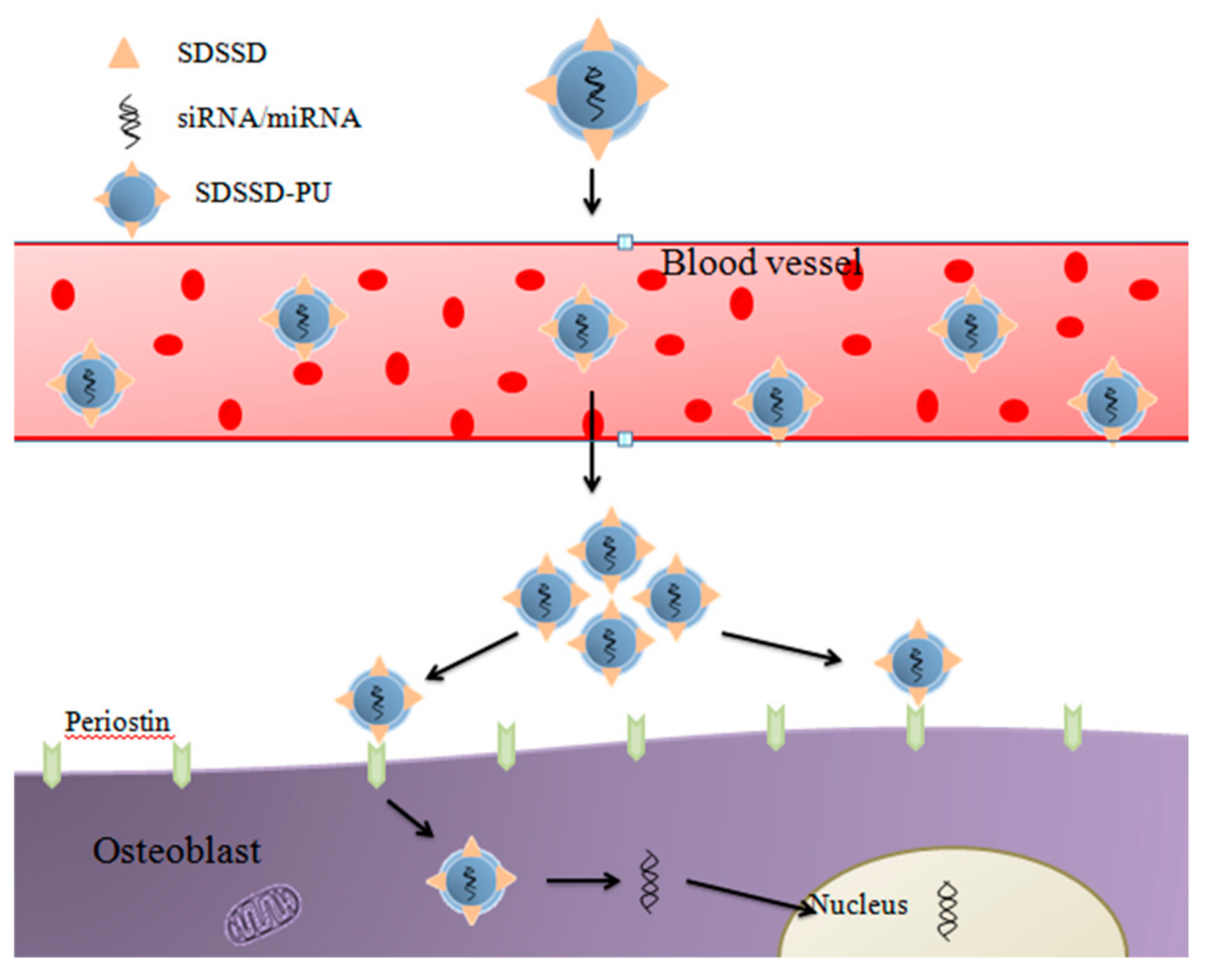 Ijms 20 05491 g008 Ijms 20 05491 g008