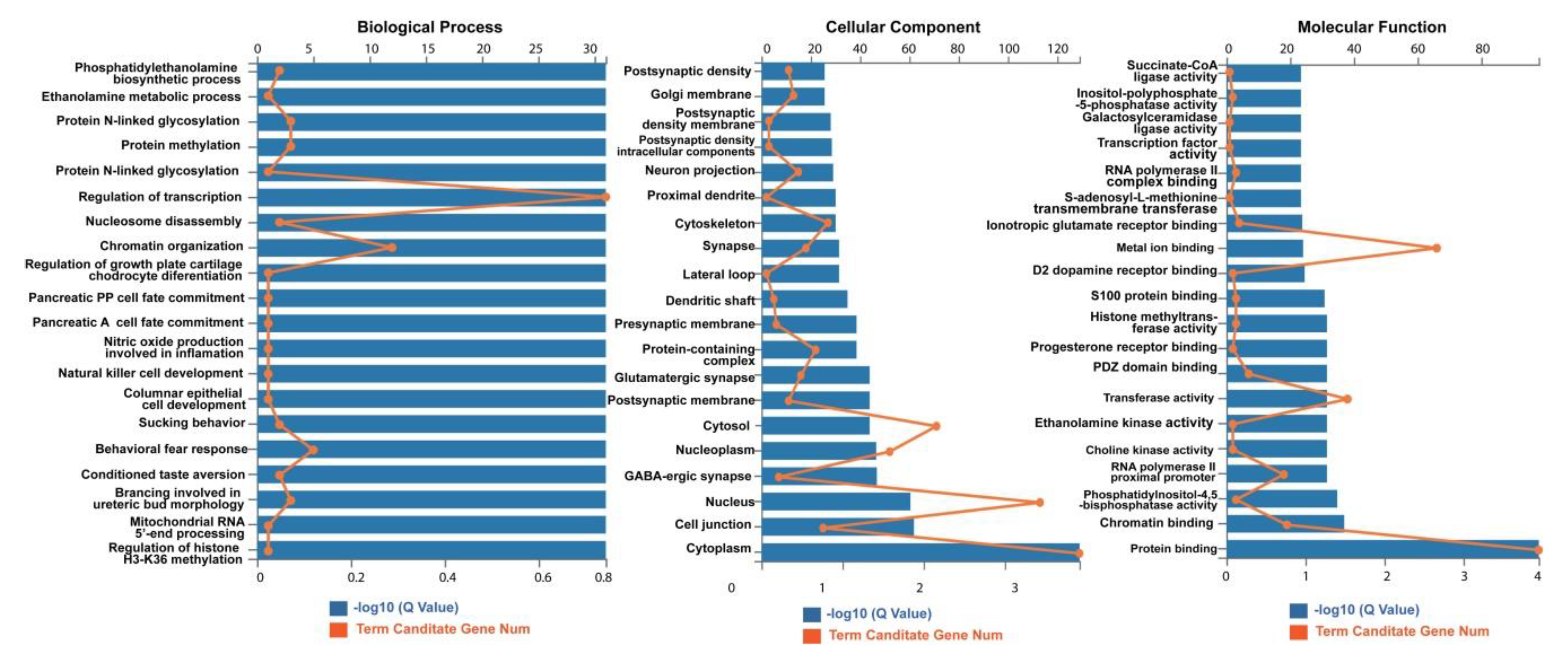 Ijms 20 05506 g008 Ijms 20 05506 g008