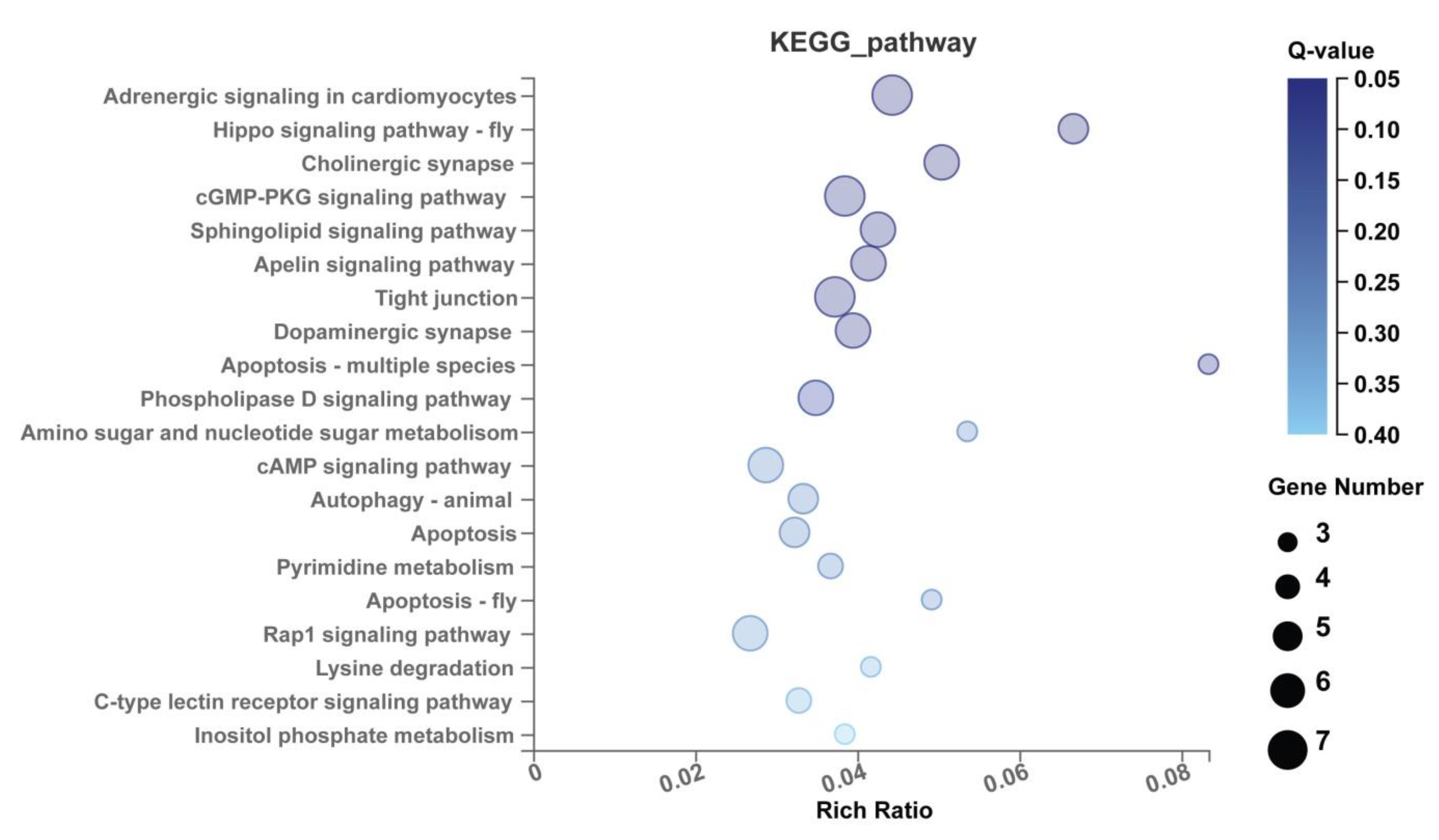 Ijms 20 05506 g010 Ijms 20 05506 g010