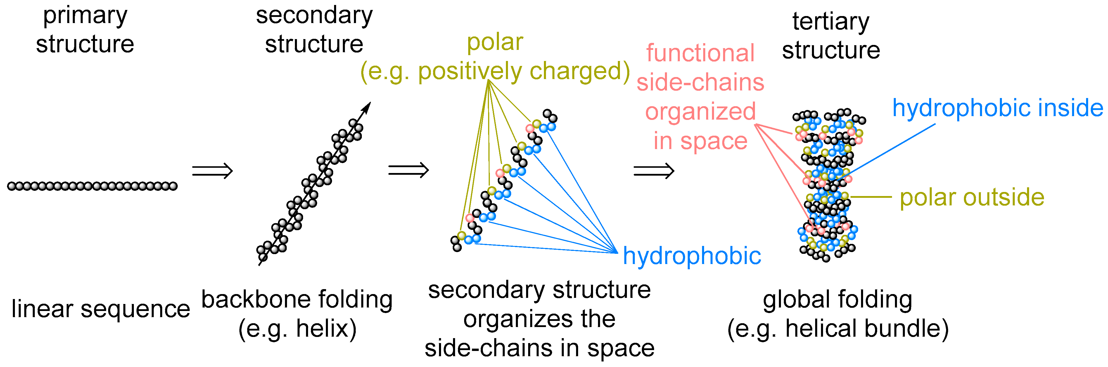 Ijms 20 05507 g001 Ijms 20 05507 g001