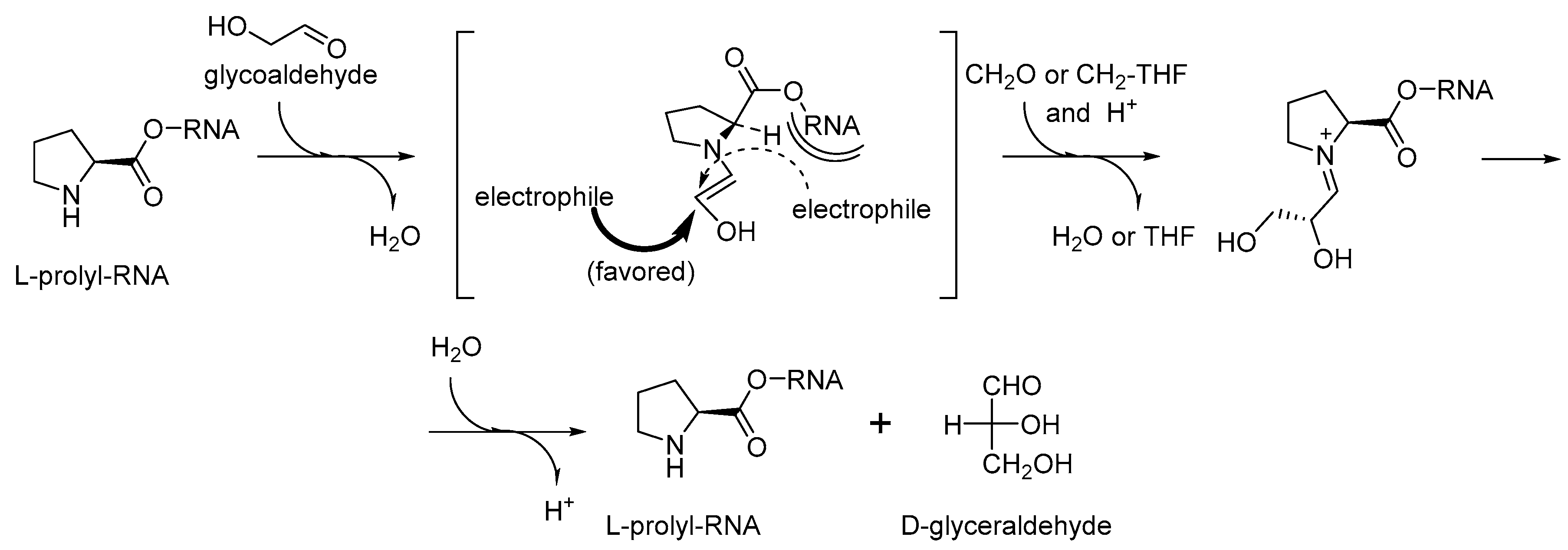 Ijms 20 05507 g008 Ijms 20 05507 g008