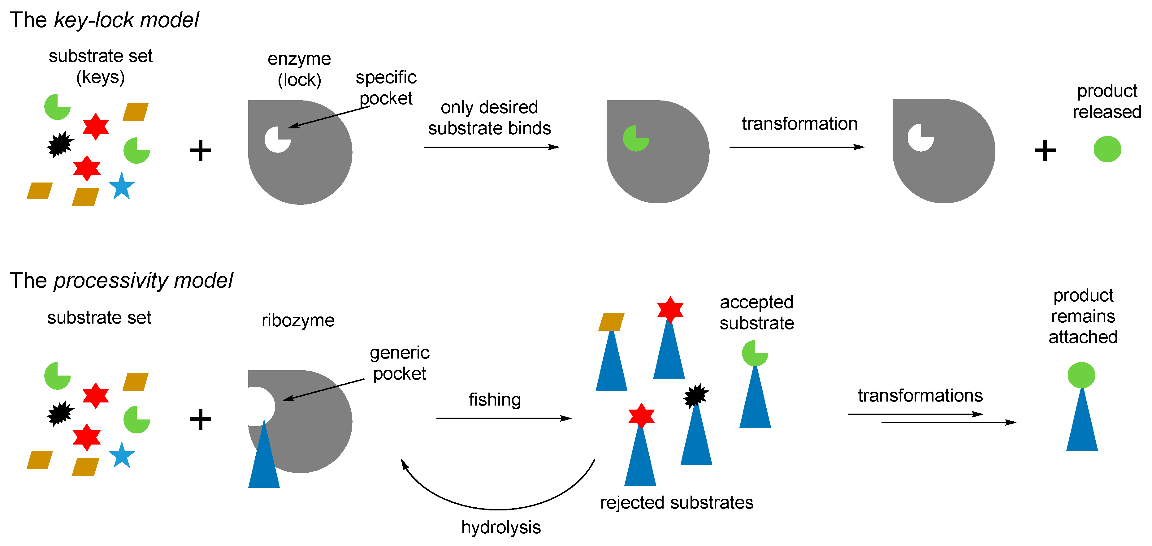 Ijms 20 05507 g009 Ijms 20 05507 g009