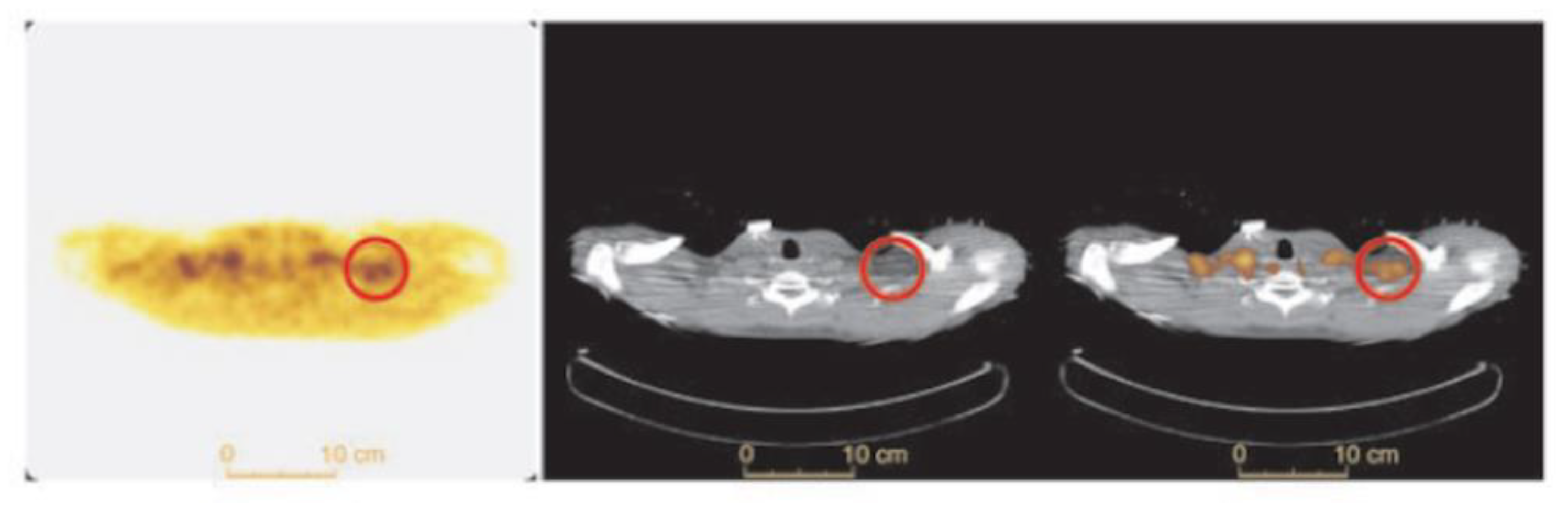 Ijms 20 05509 g007 Ijms 20 05509 g007