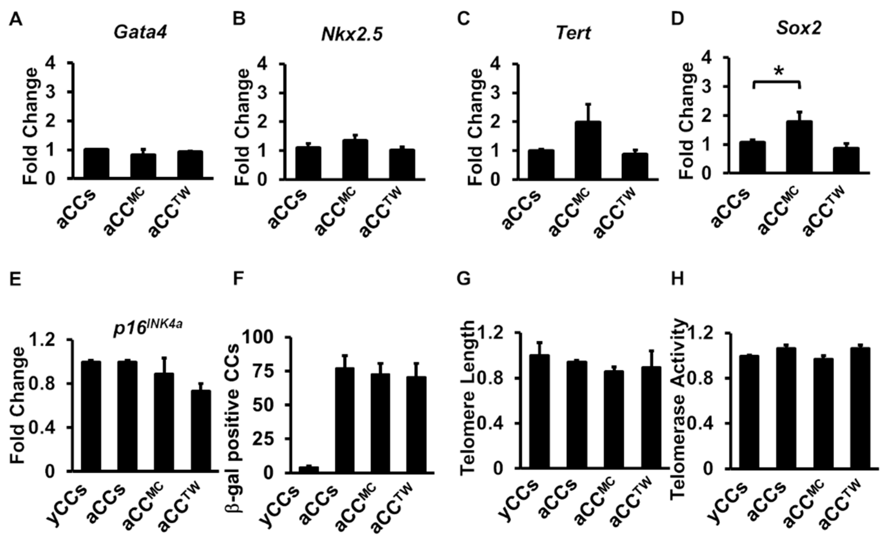 Ijms 20 05519 g006 Ijms 20 05519 g006