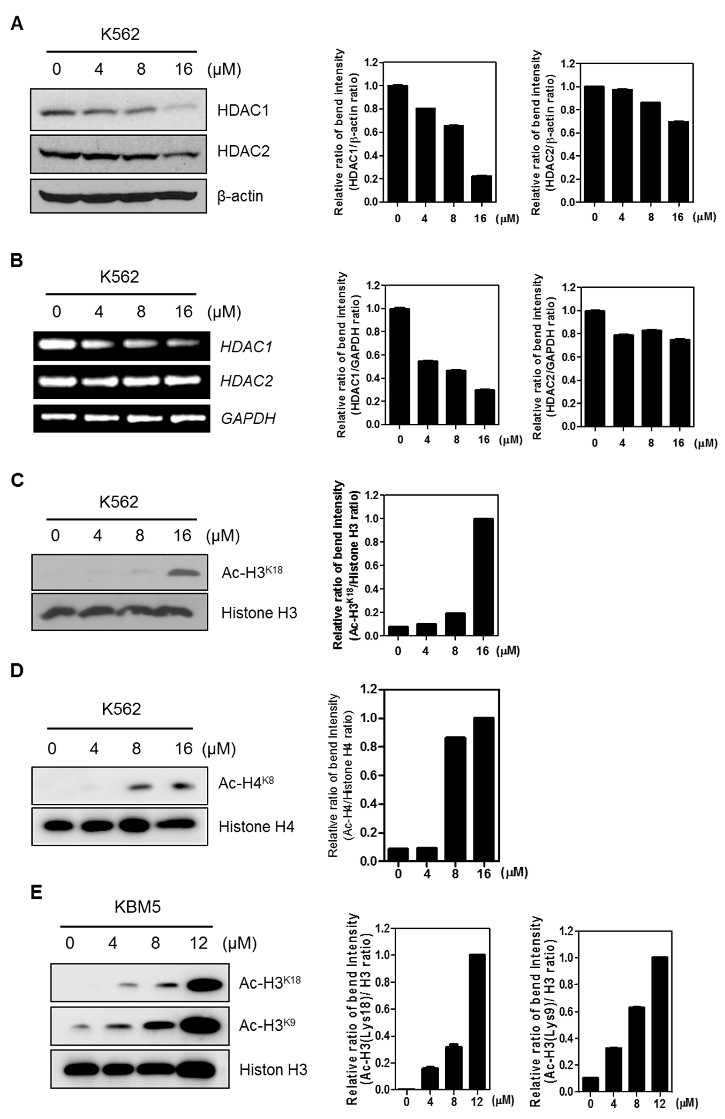 Ijms 20 05535 g004 Ijms 20 05535 g004