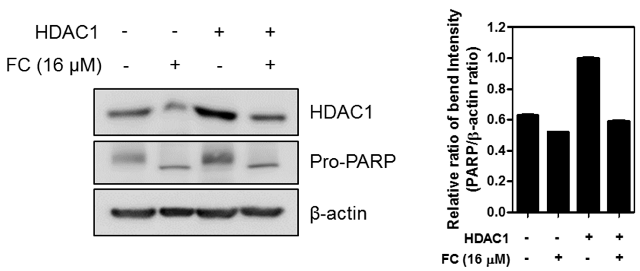 Ijms 20 05535 g005 Ijms 20 05535 g005