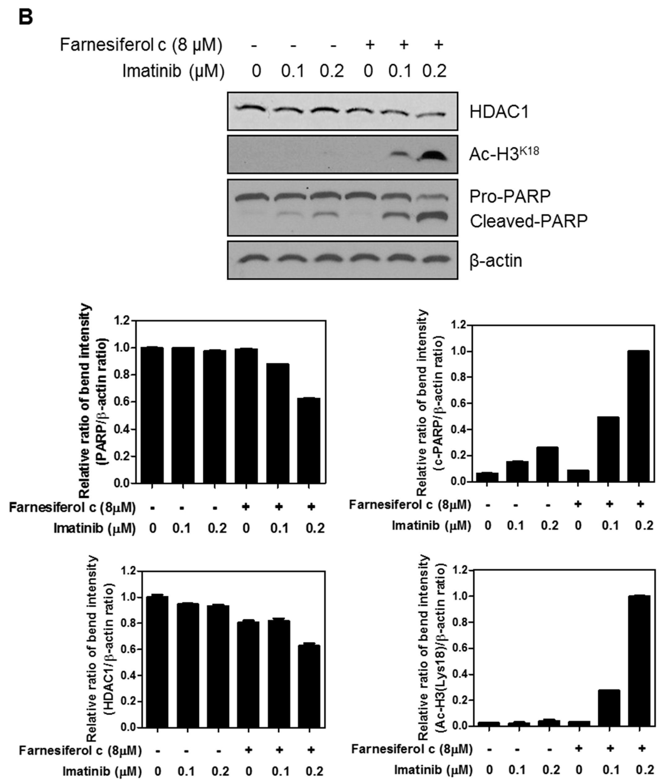 Ijms 20 05535 g006b Ijms 20 05535 g006b