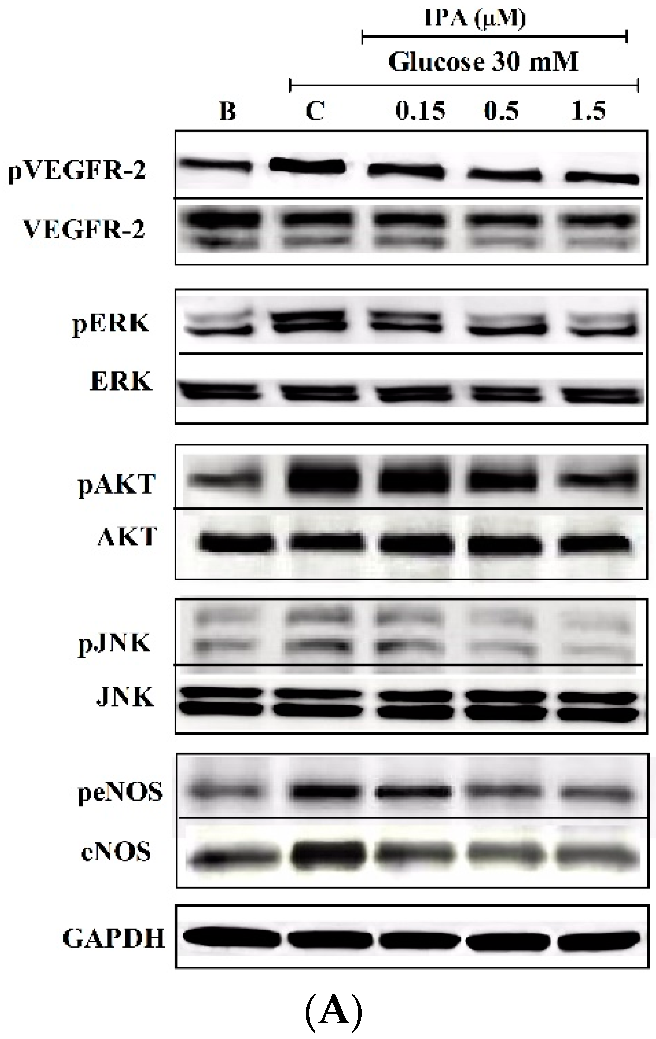 Ijms 20 05542 g006a