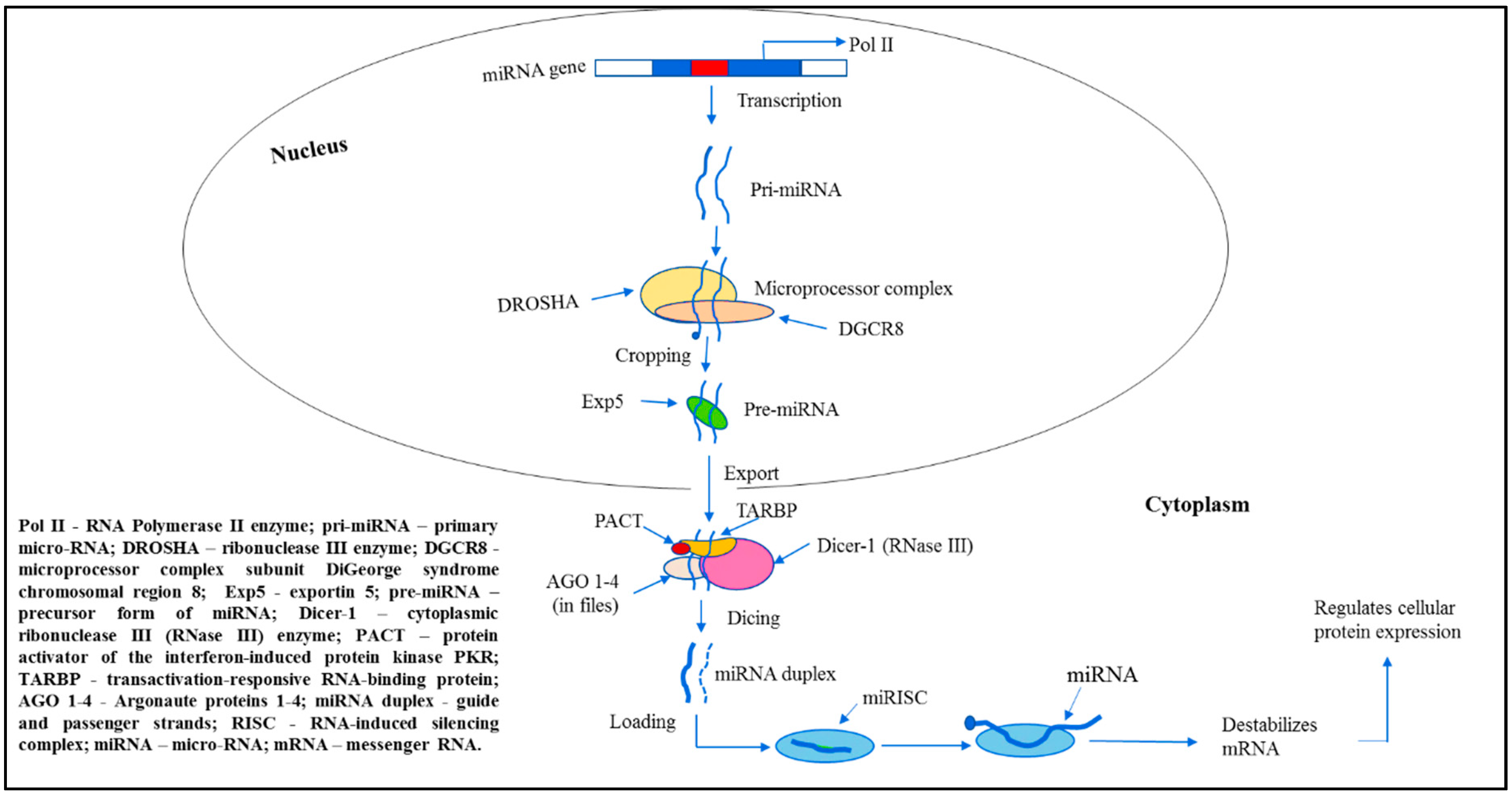 Ijms 20 05547 g001 Ijms 20 05547 g001