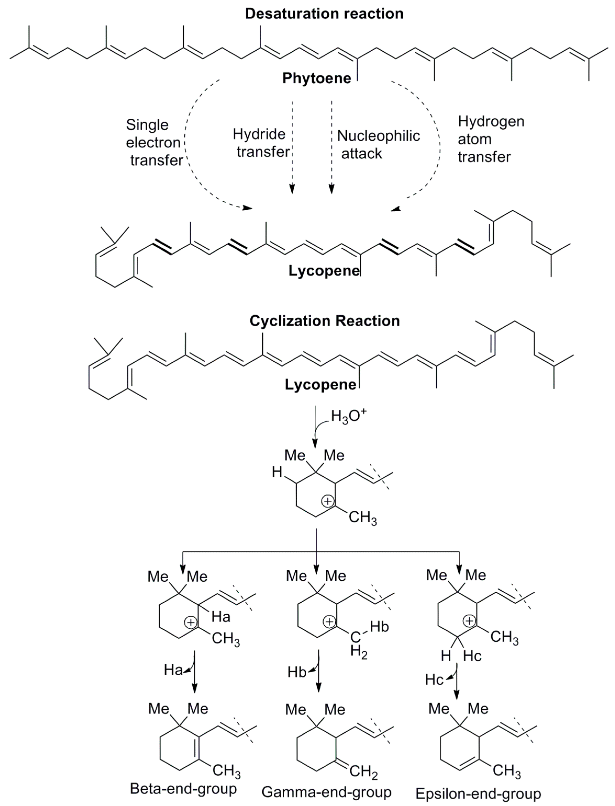 Ijms 20 05553 g004 Ijms 20 05553 g004
