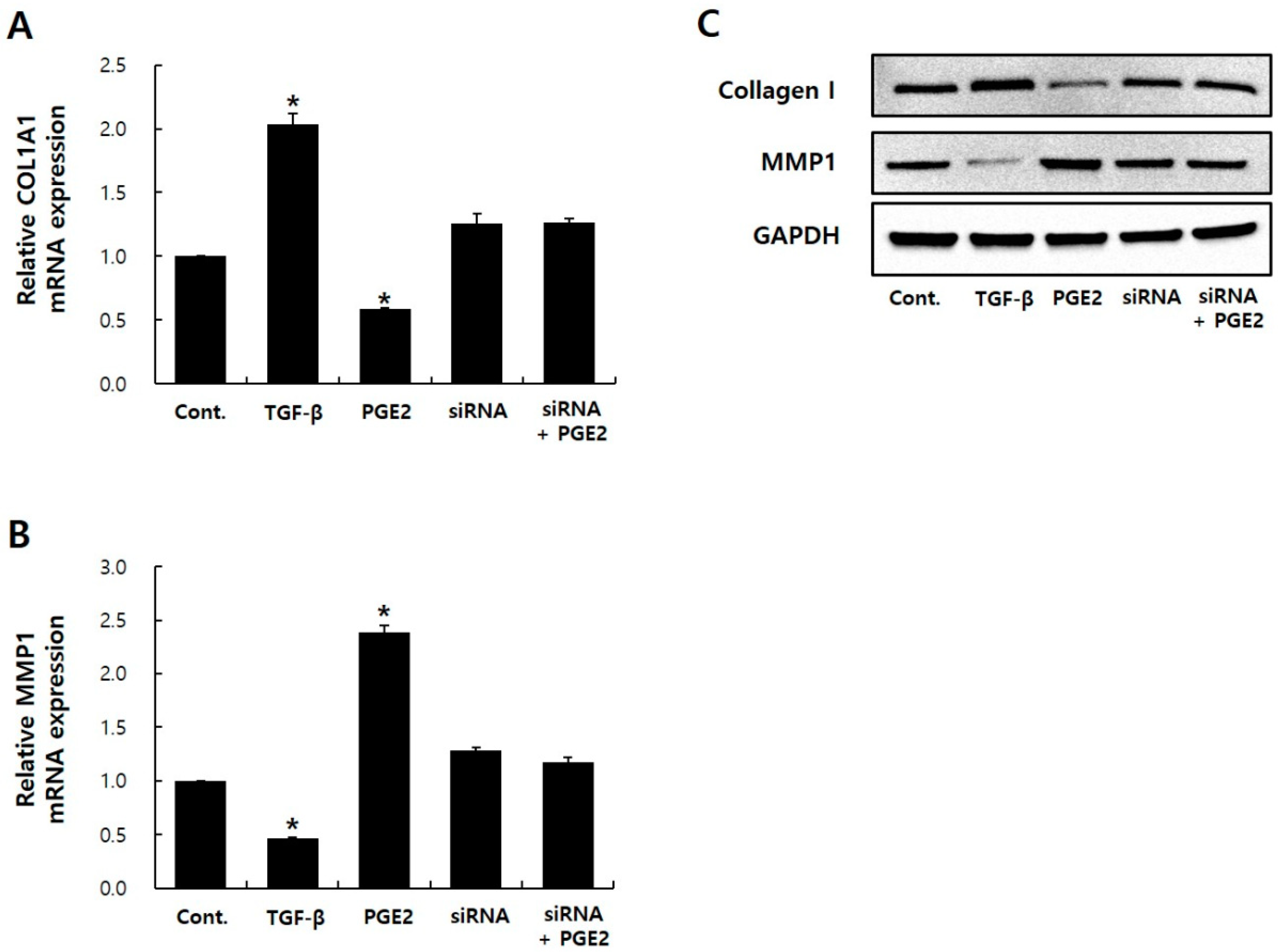 Ijms 20 05555 g004 Ijms 20 05555 g004