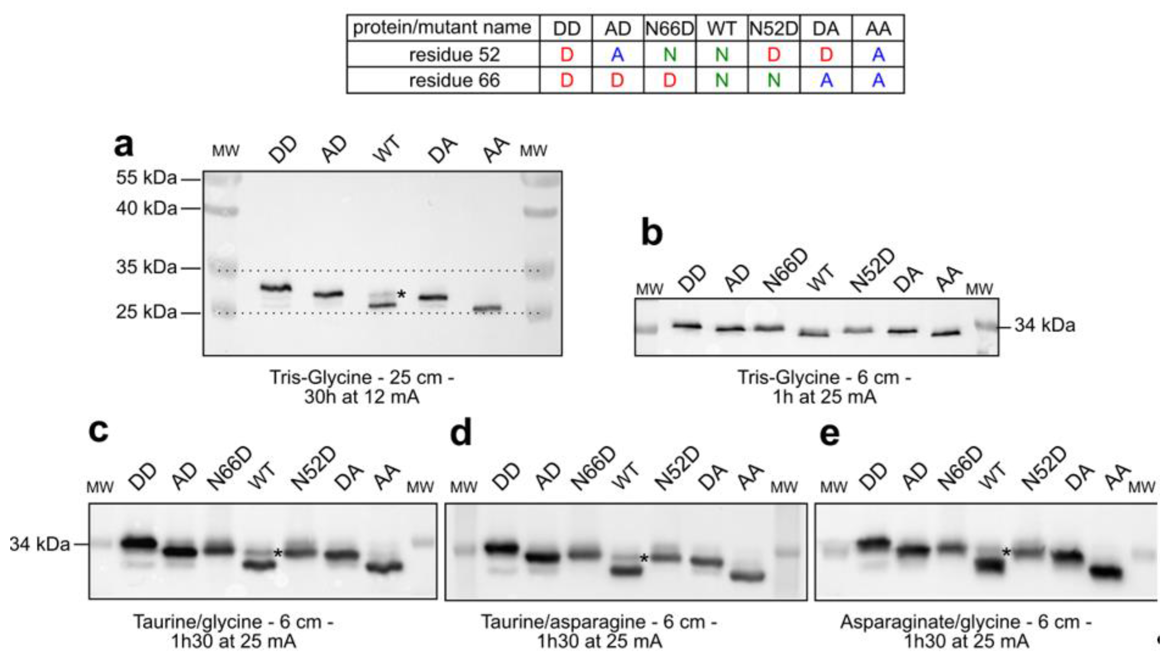 Ijms 20 05571 g001 Ijms 20 05571 g001