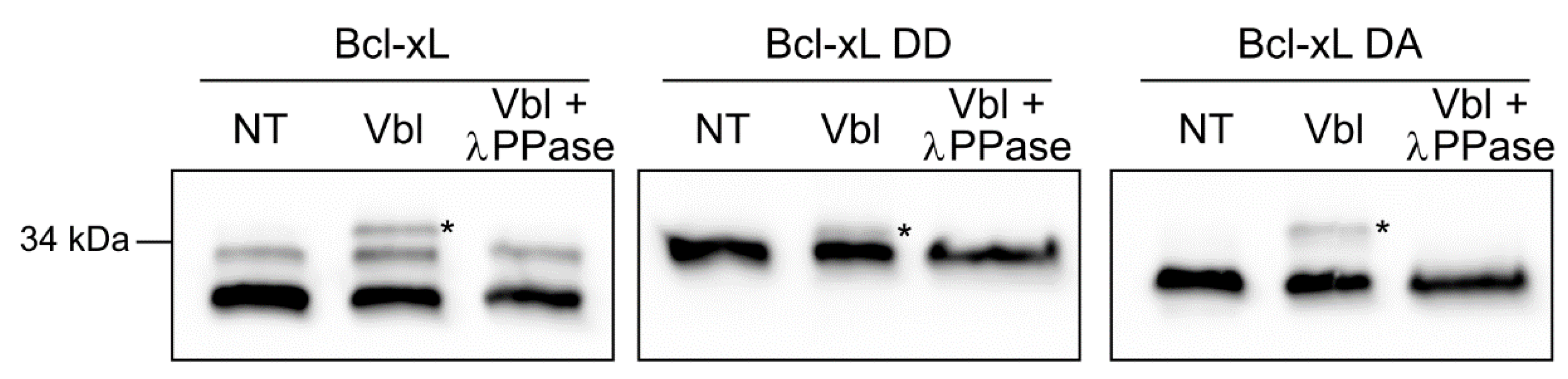 Ijms 20 05571 g003 Ijms 20 05571 g003