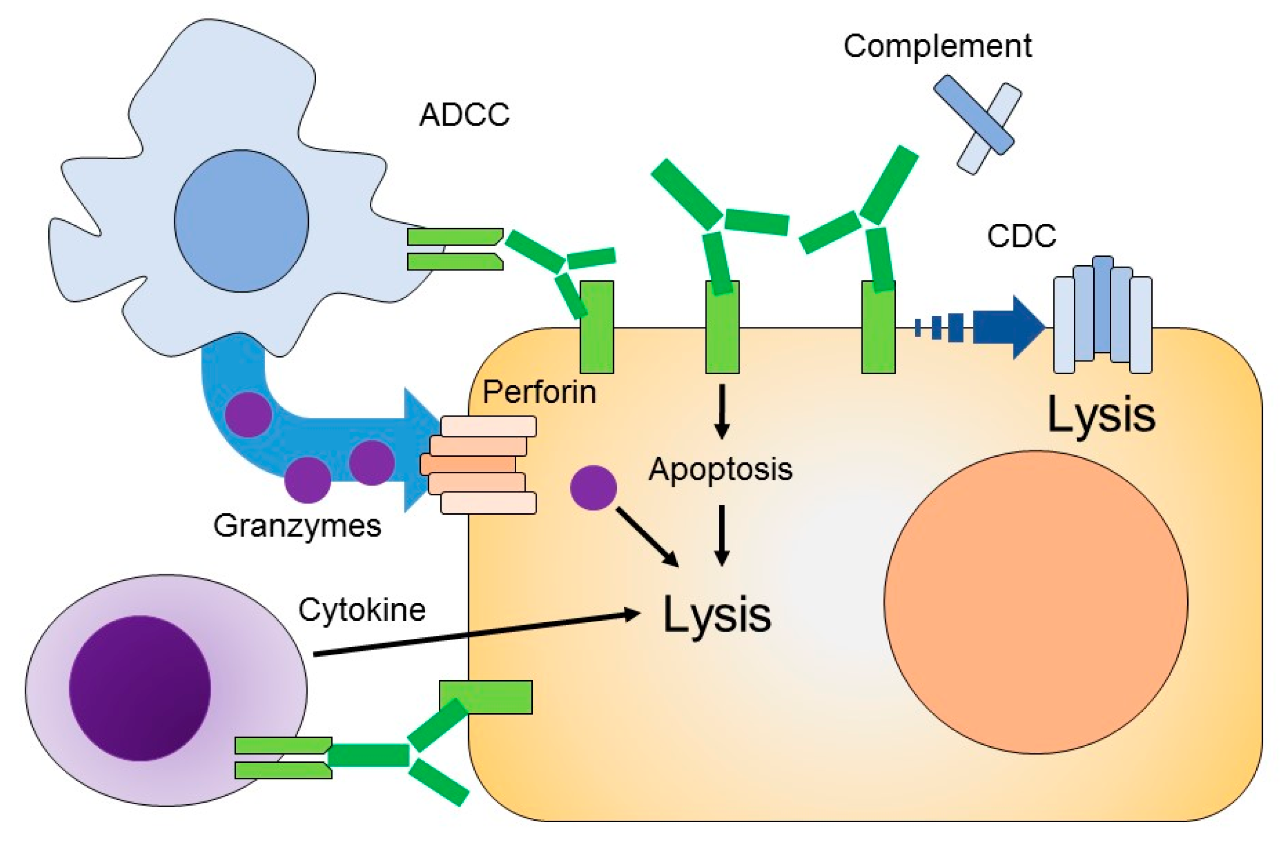 Ijms 20 05579 g002 Ijms 20 05579 g002