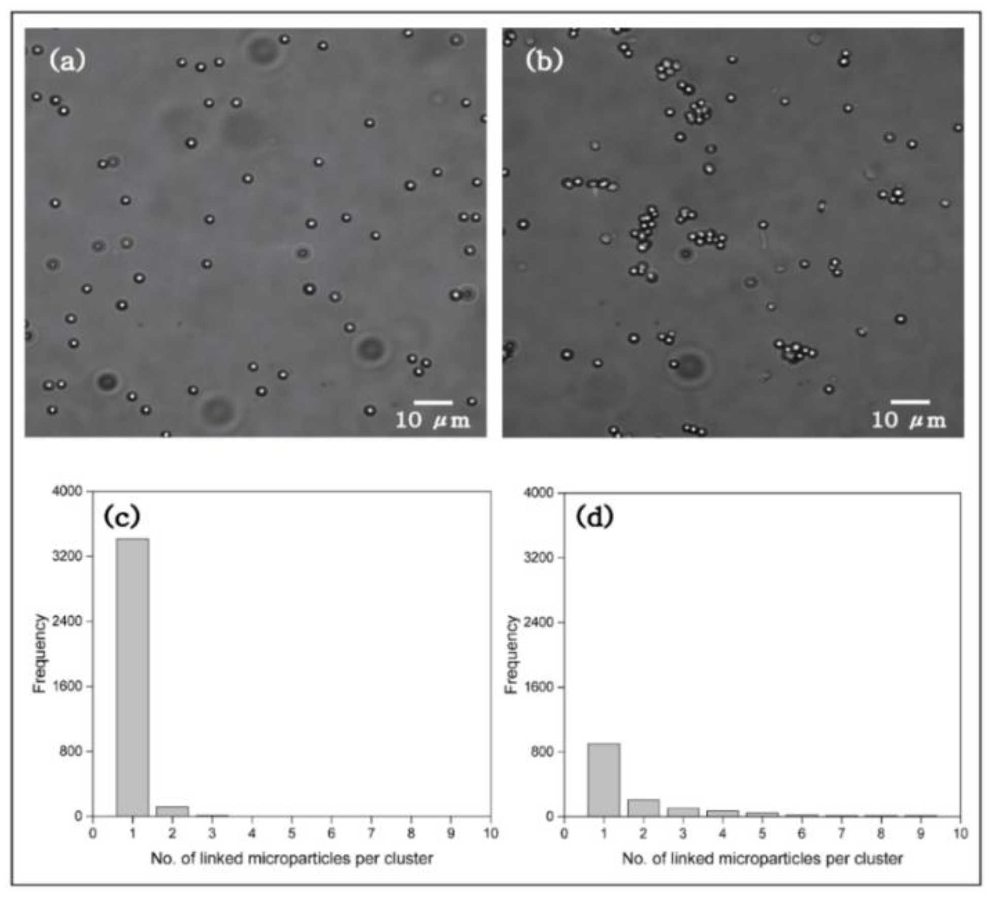 Ijms 20 05582 g005 Ijms 20 05582 g005