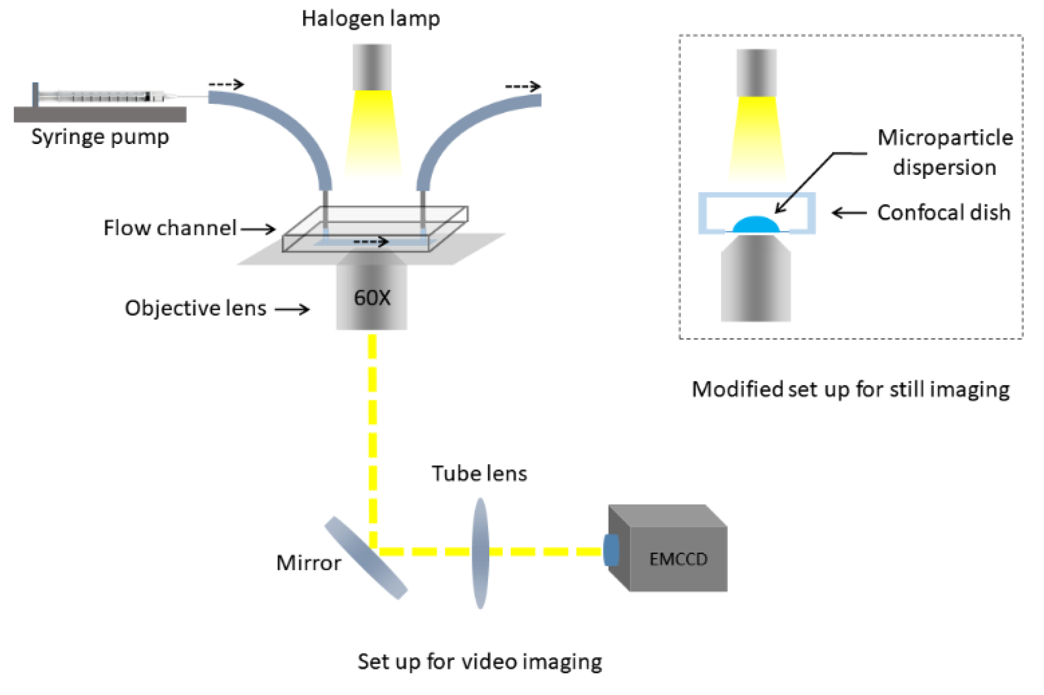 Ijms 20 05582 g006 Ijms 20 05582 g006
