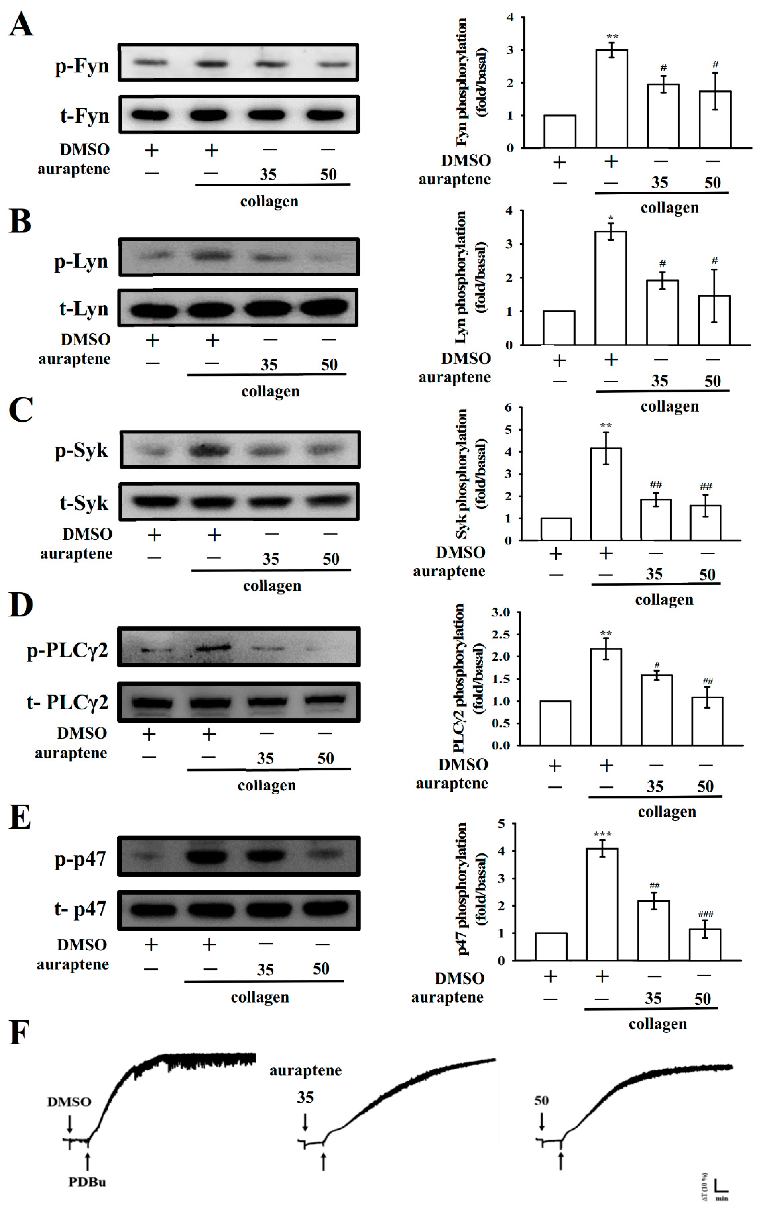 Ijms 20 05585 g004 Ijms 20 05585 g004