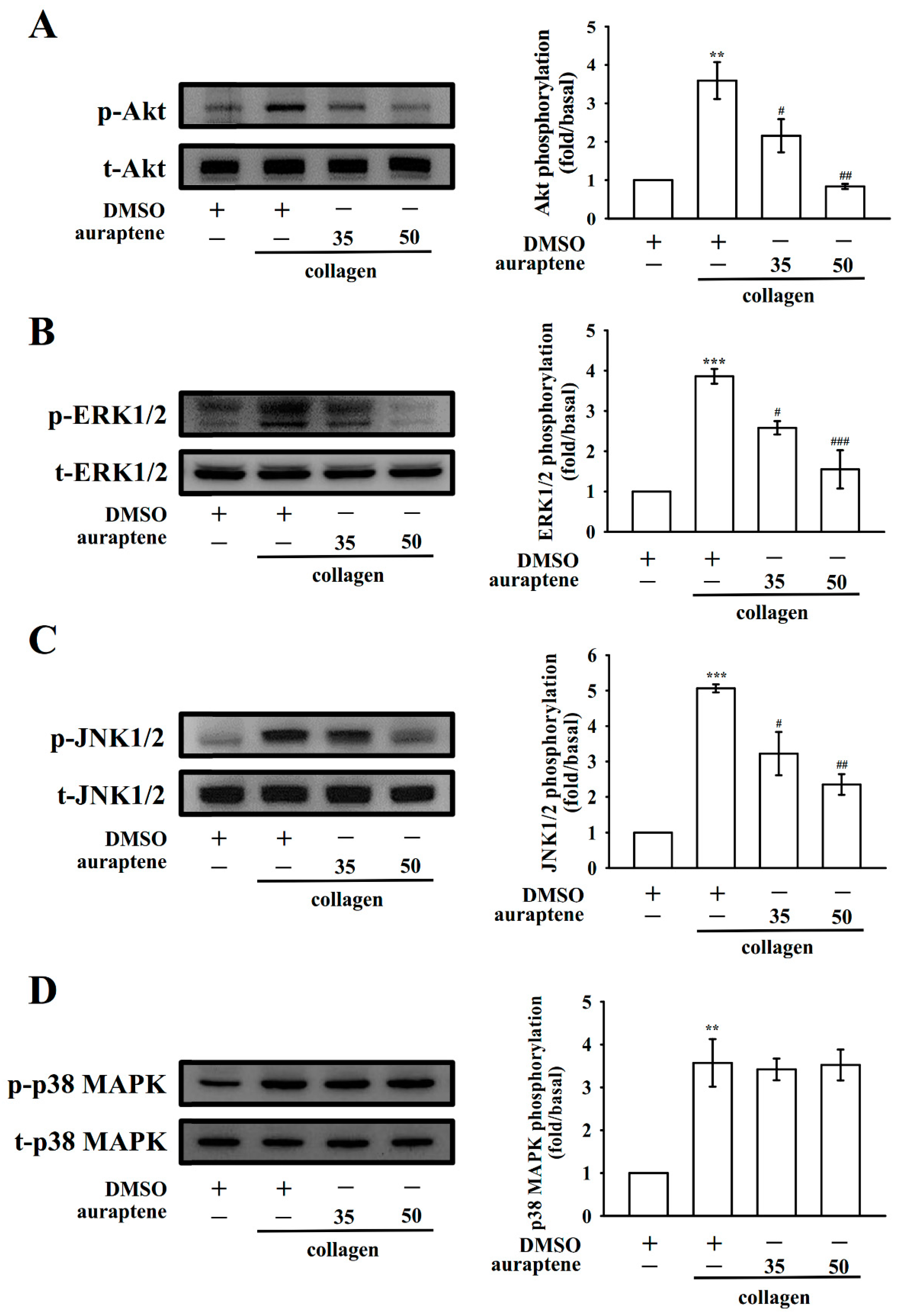 Ijms 20 05585 g005 Ijms 20 05585 g005