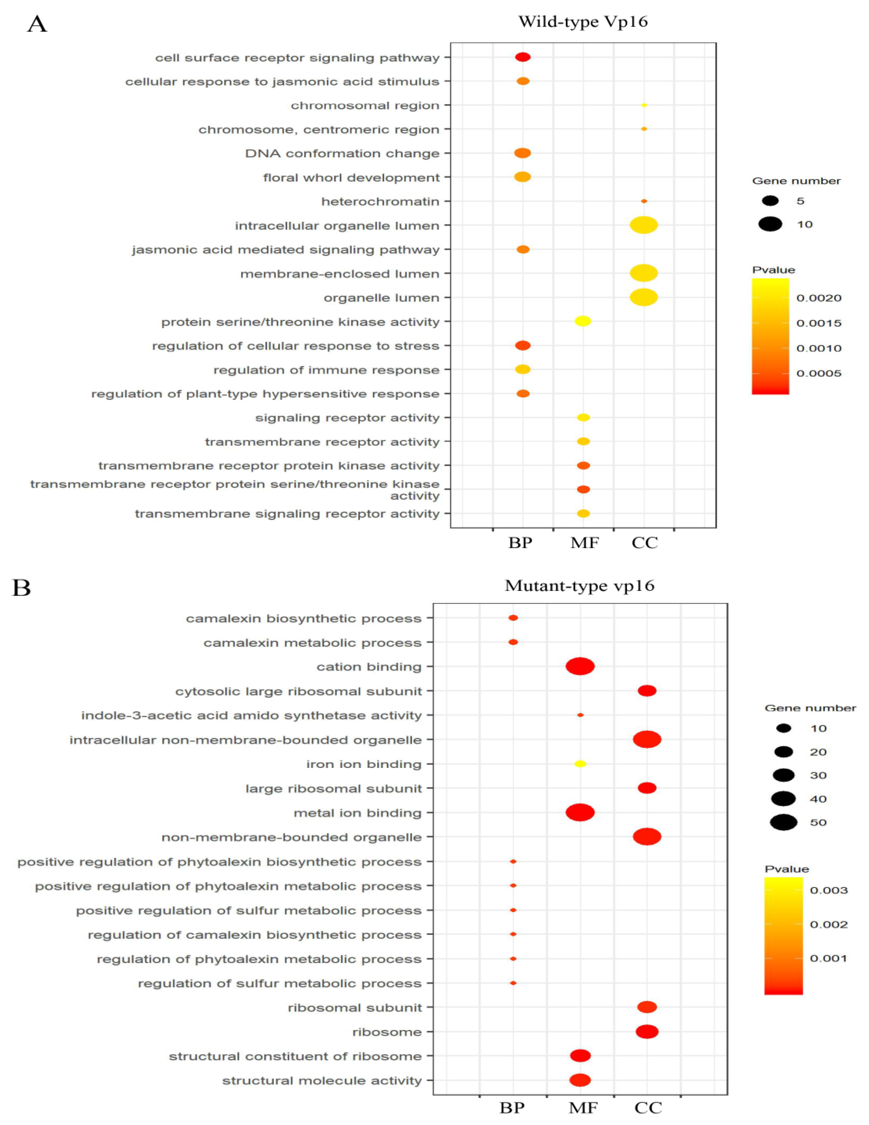 Ijms 20 05586 g003 Ijms 20 05586 g003