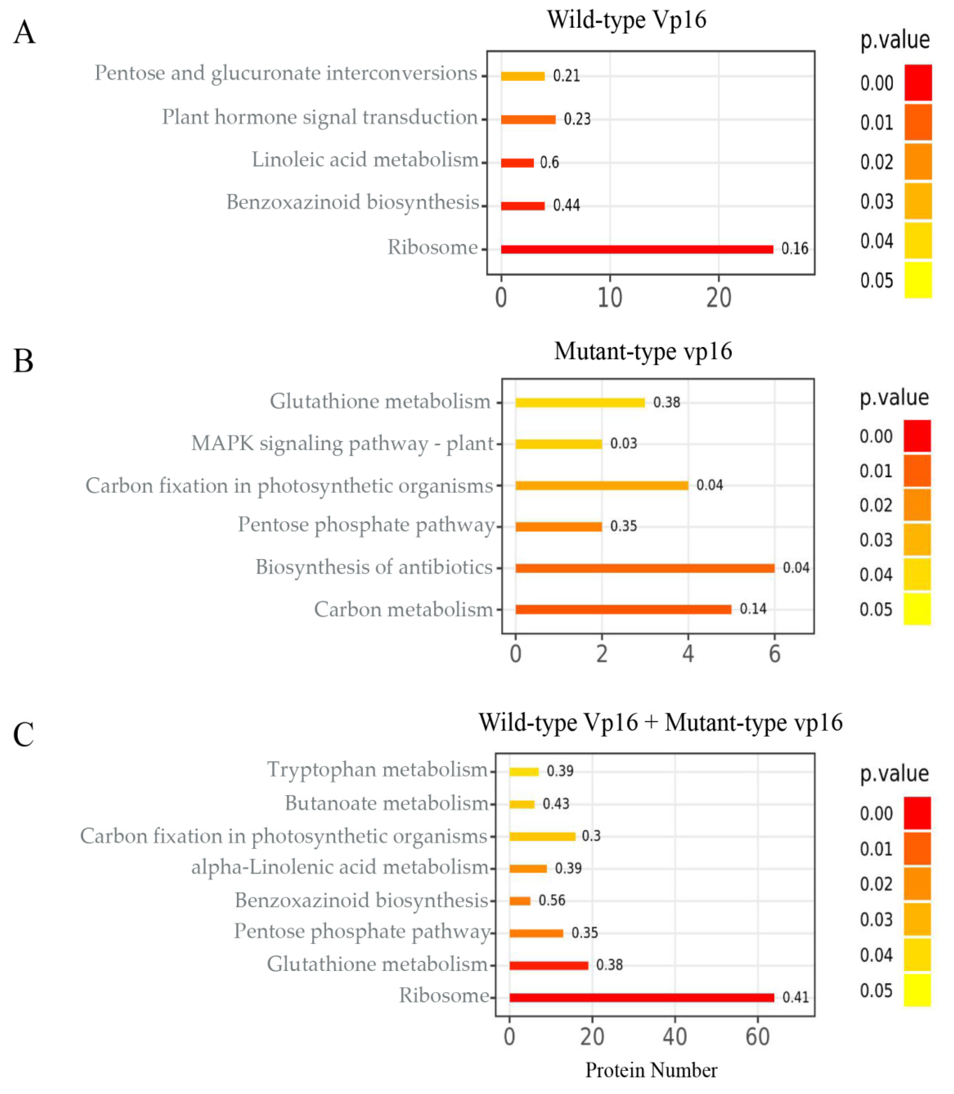 Ijms 20 05586 g004 Ijms 20 05586 g004
