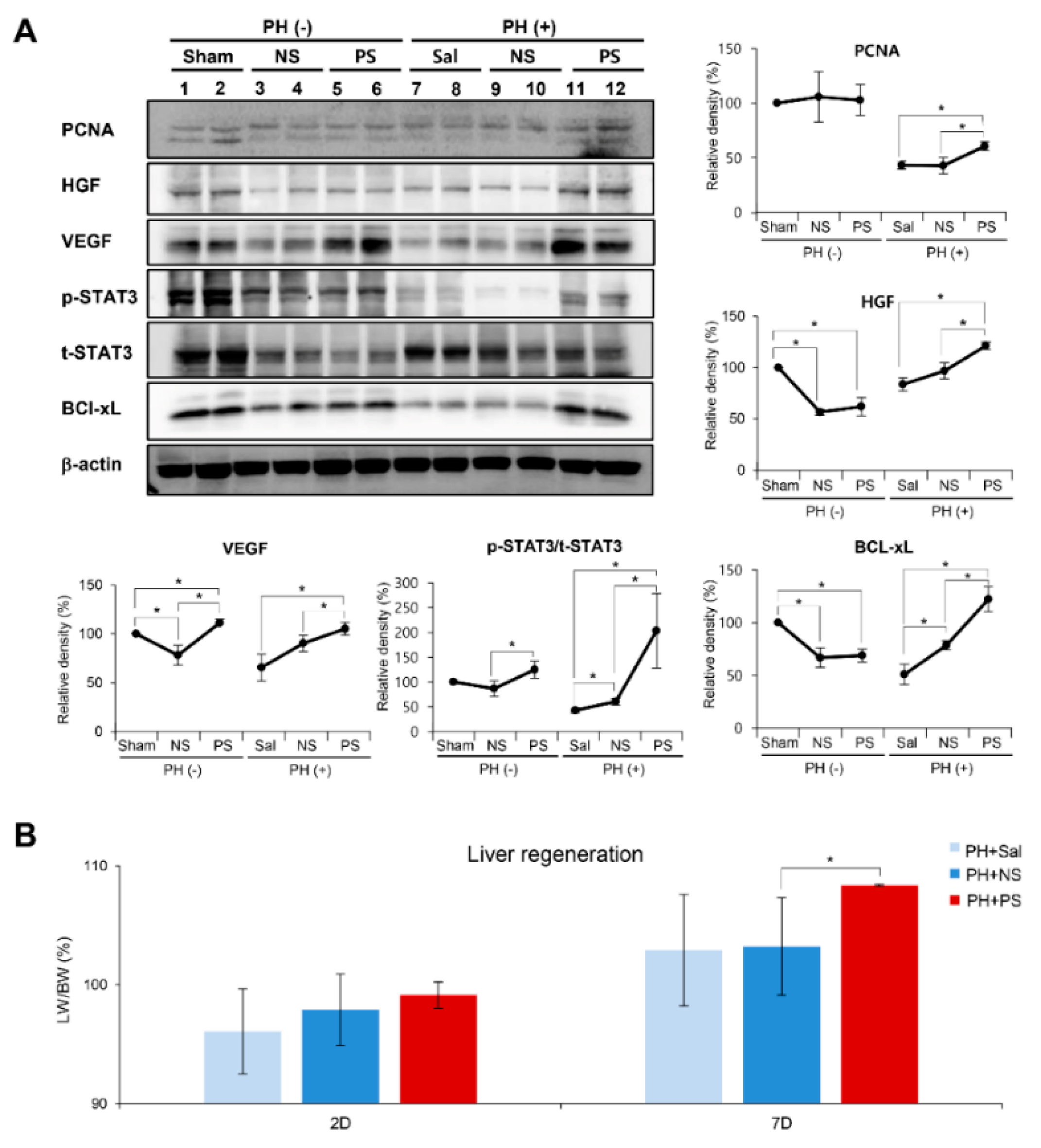 Ijms 20 05589 g003 Ijms 20 05589 g003