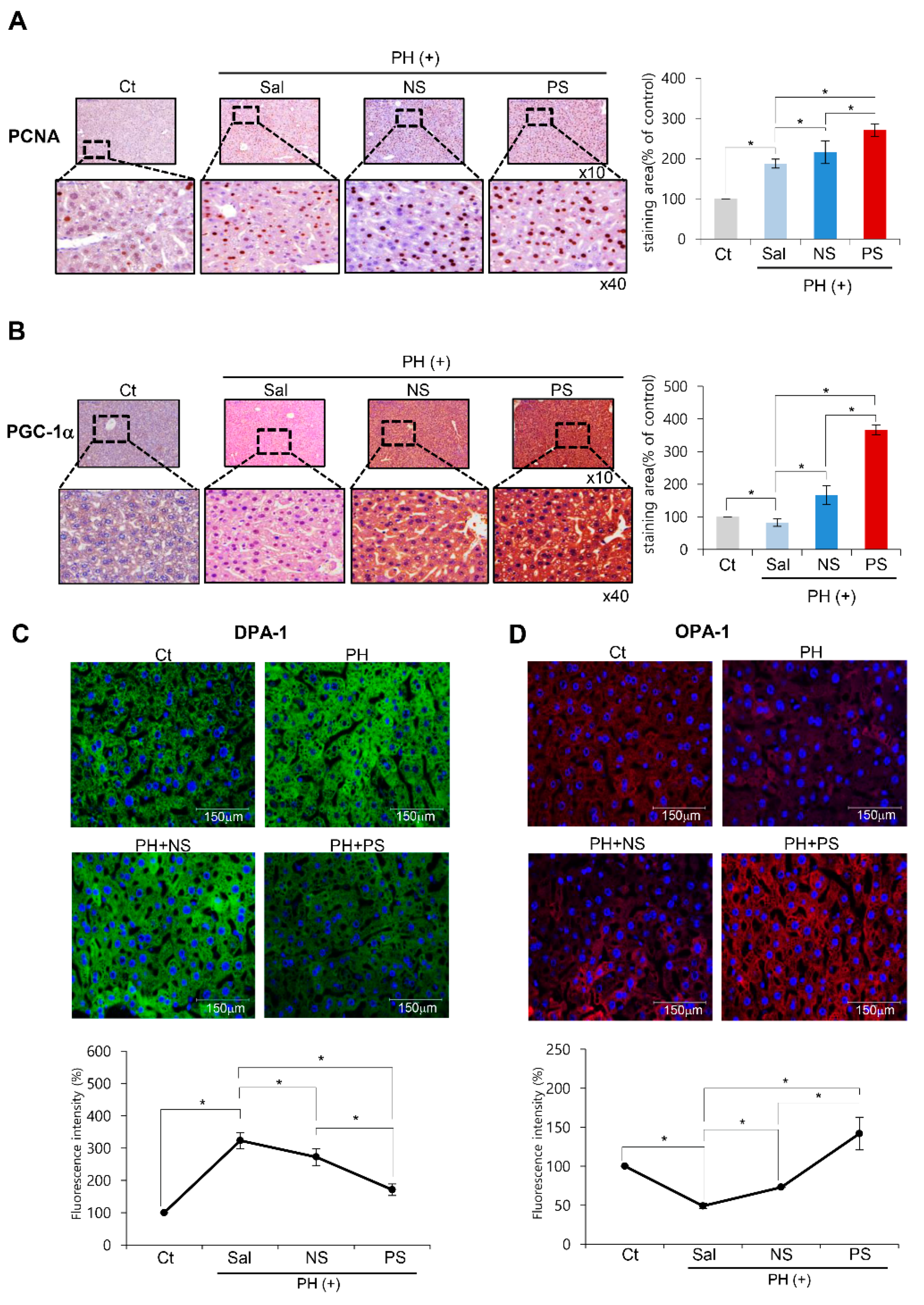 Ijms 20 05589 g004 Ijms 20 05589 g004
