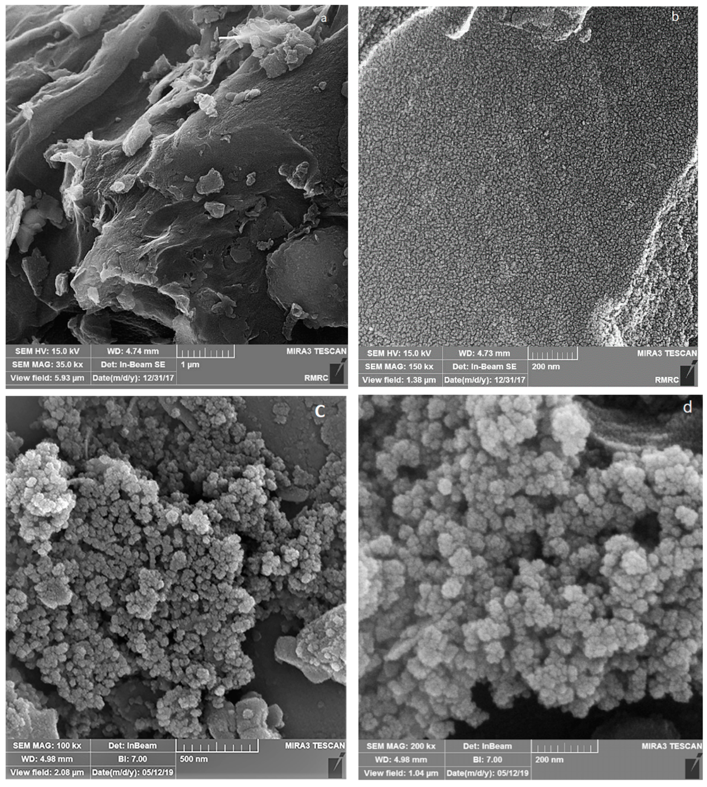 Ijms 20 05612 g003a Ijms 20 05612 g003a