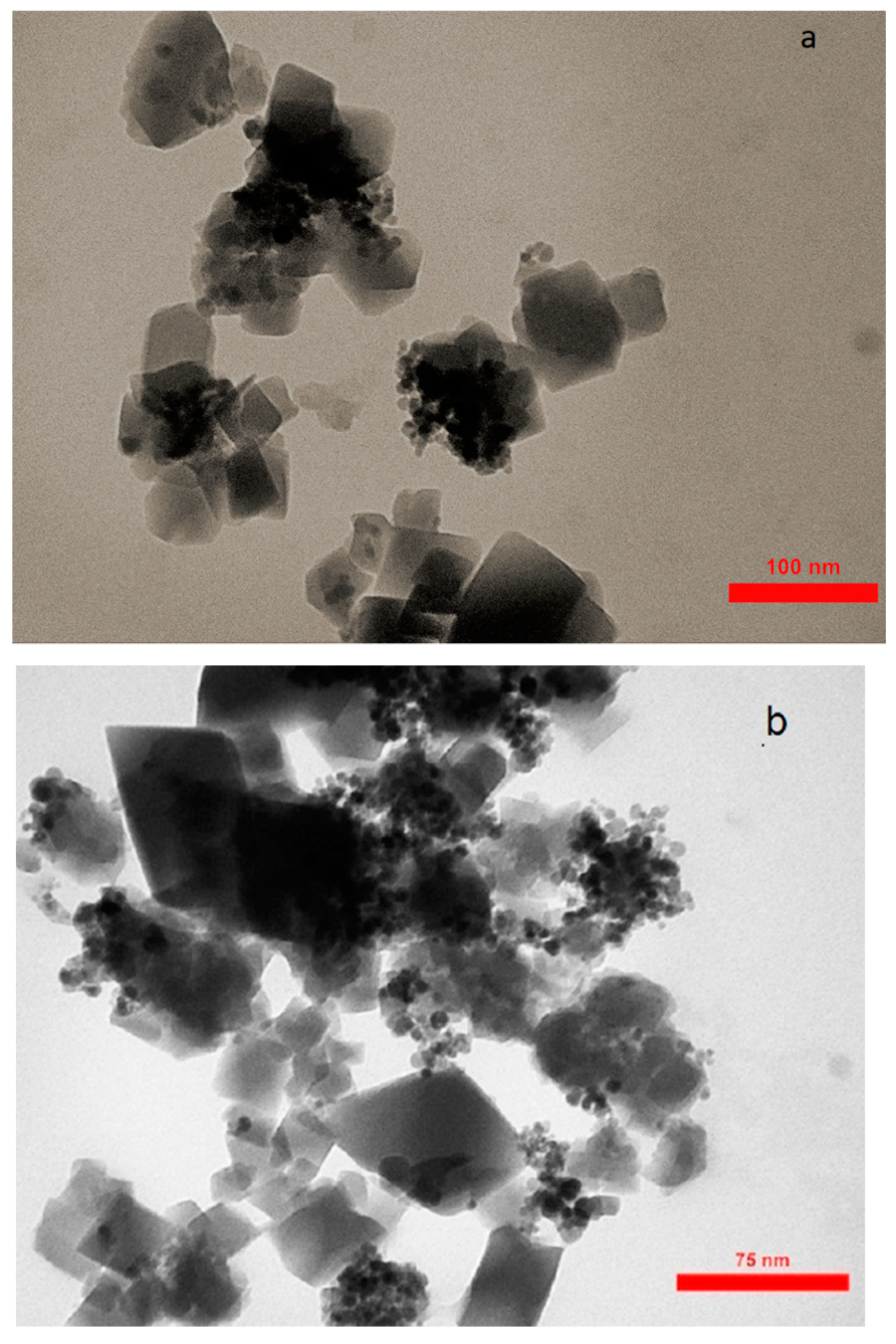 Ijms 20 05612 g004a Ijms 20 05612 g004a