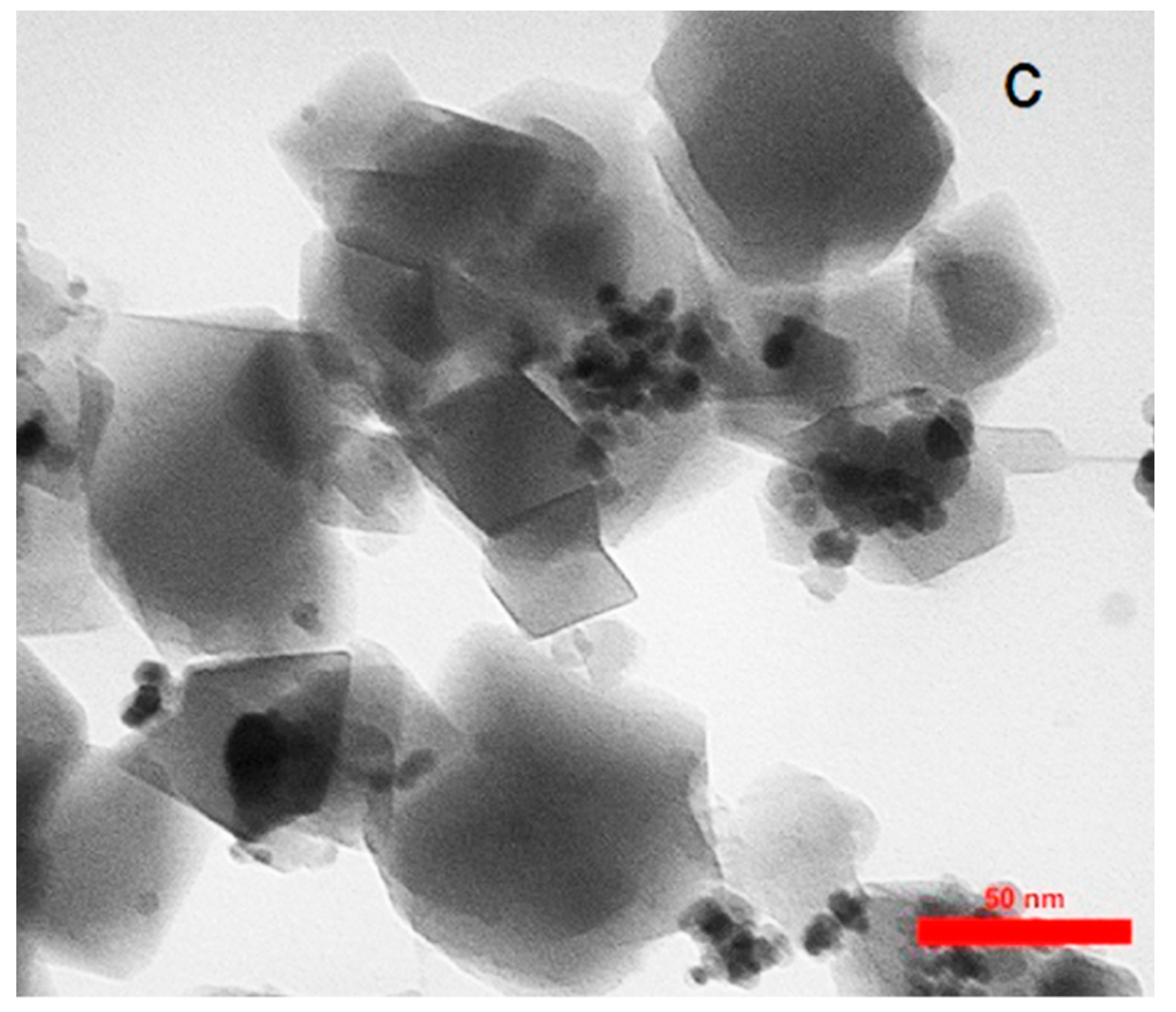 Ijms 20 05612 g004b Ijms 20 05612 g004b