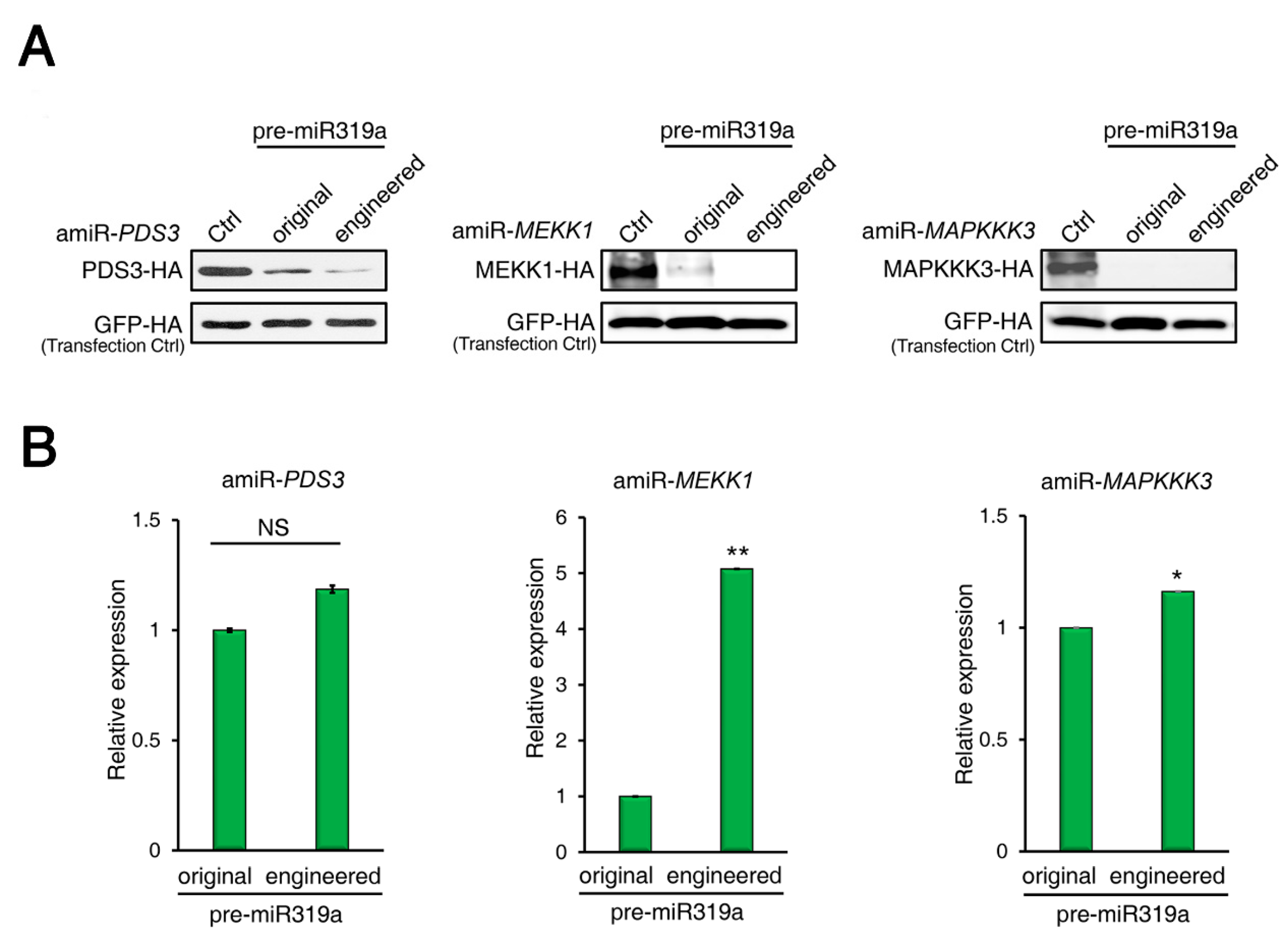 Ijms 20 05620 g003 Ijms 20 05620 g003