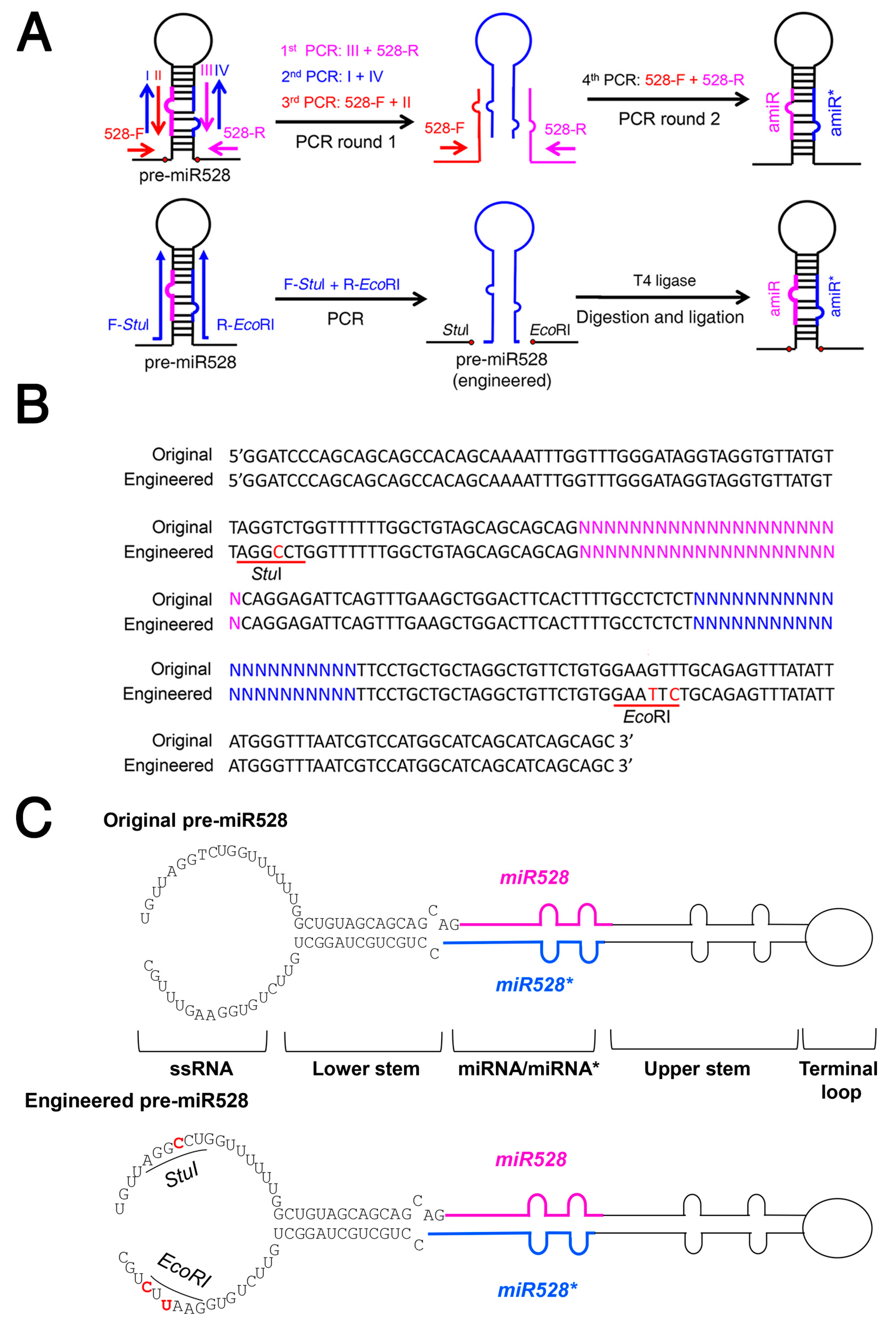 Ijms 20 05620 g005 Ijms 20 05620 g005