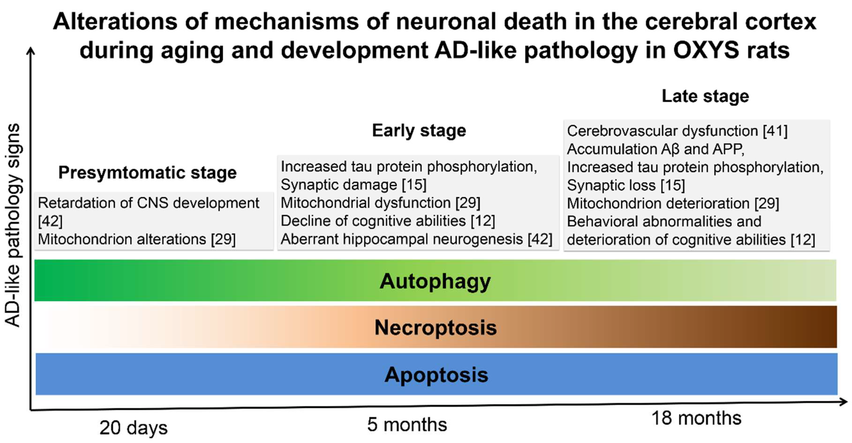 Ijms 20 05632 g006 Ijms 20 05632 g006