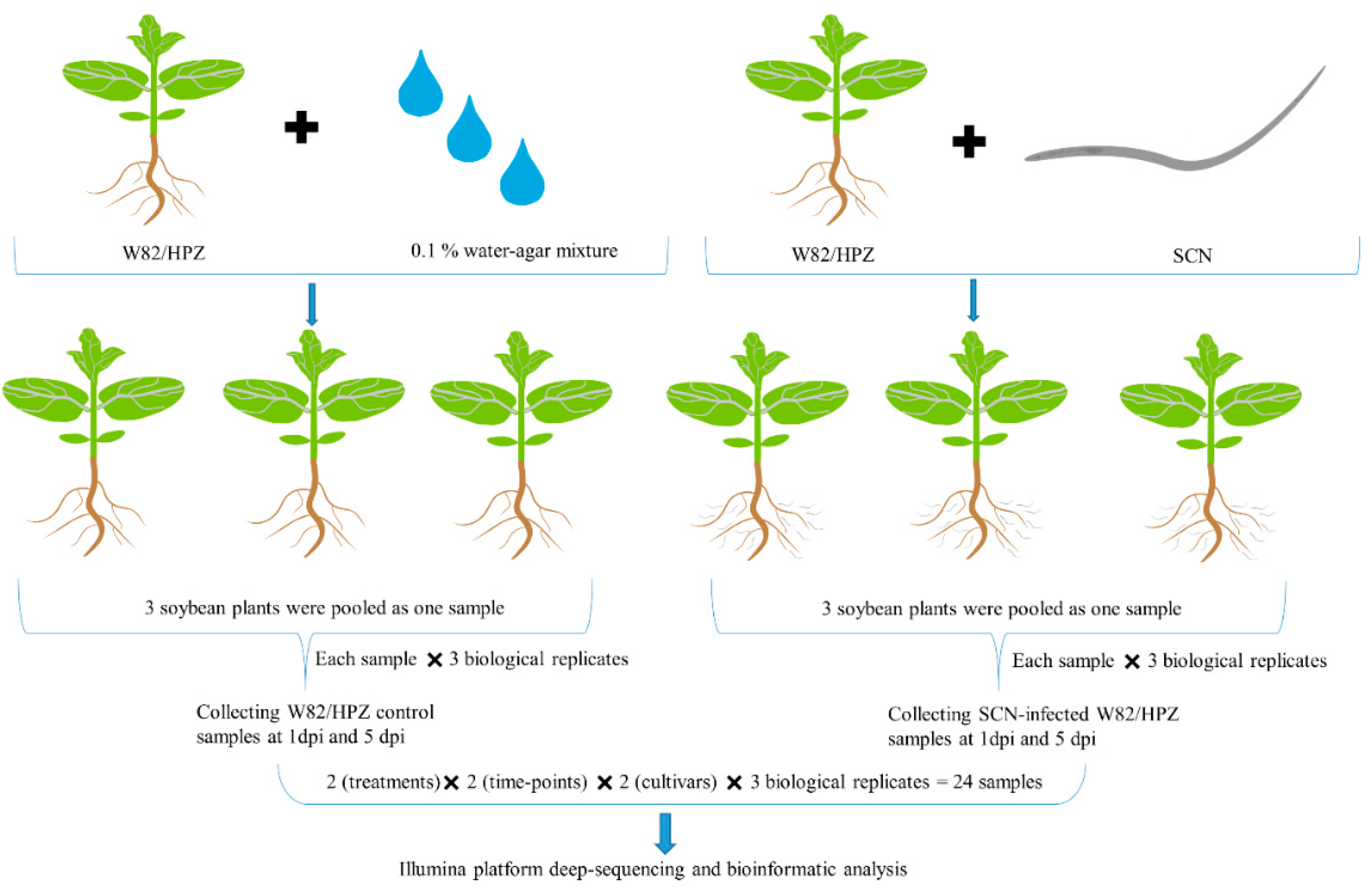 Ijms 20 05634 g003 Ijms 20 05634 g003