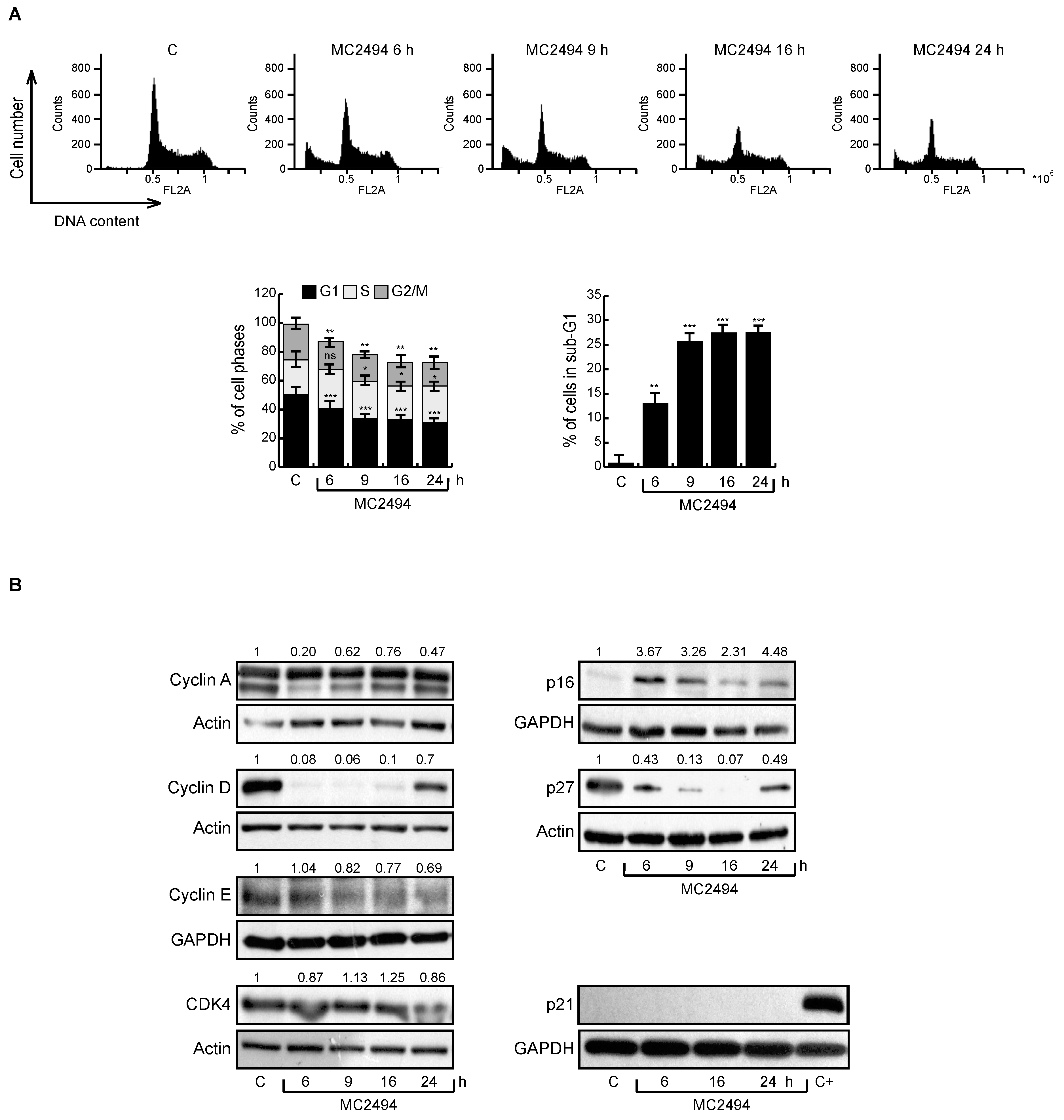Ijms 20 05654 g005