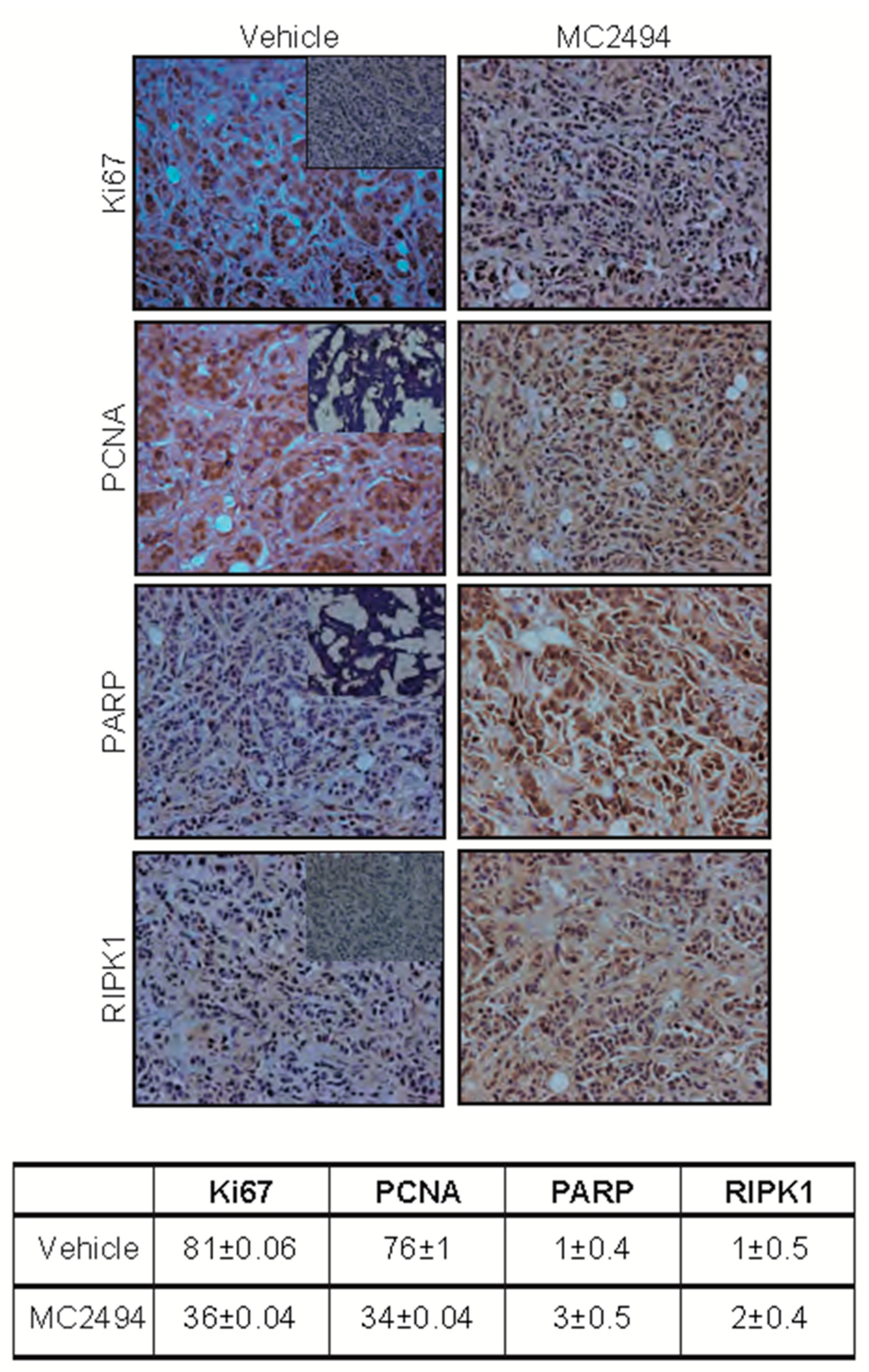 Ijms 20 05654 g006