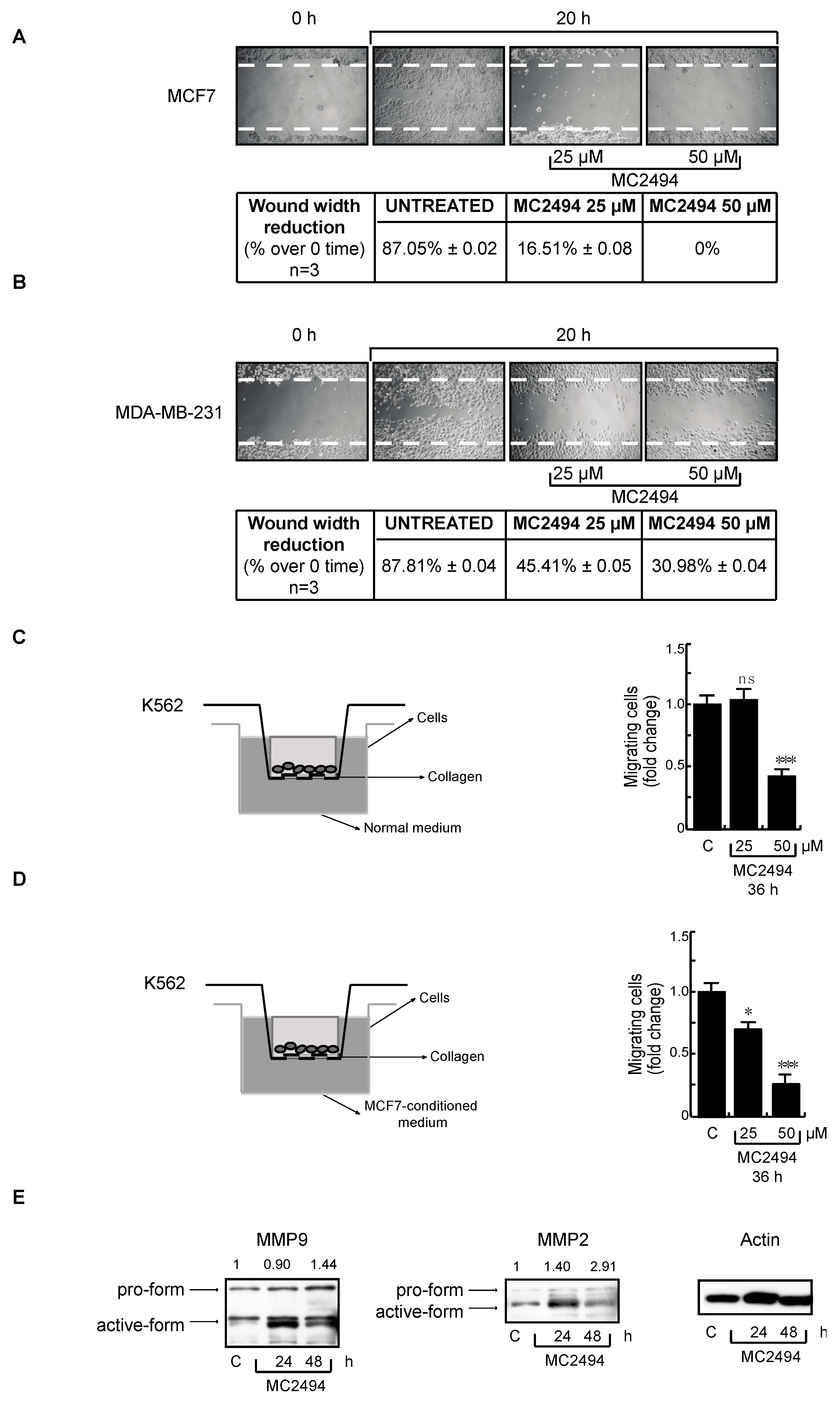 Ijms 20 05654 g007