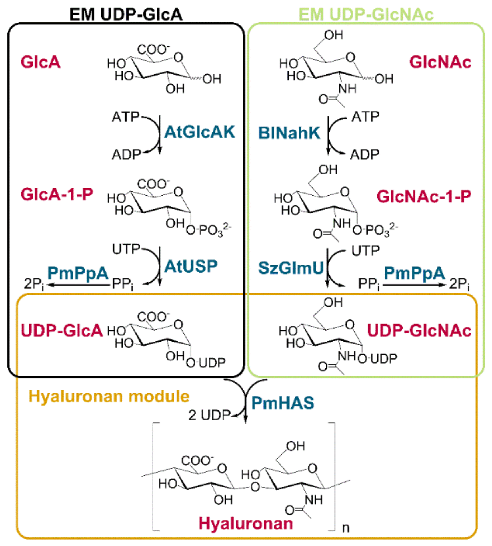 Ijms 20 05664 sch001