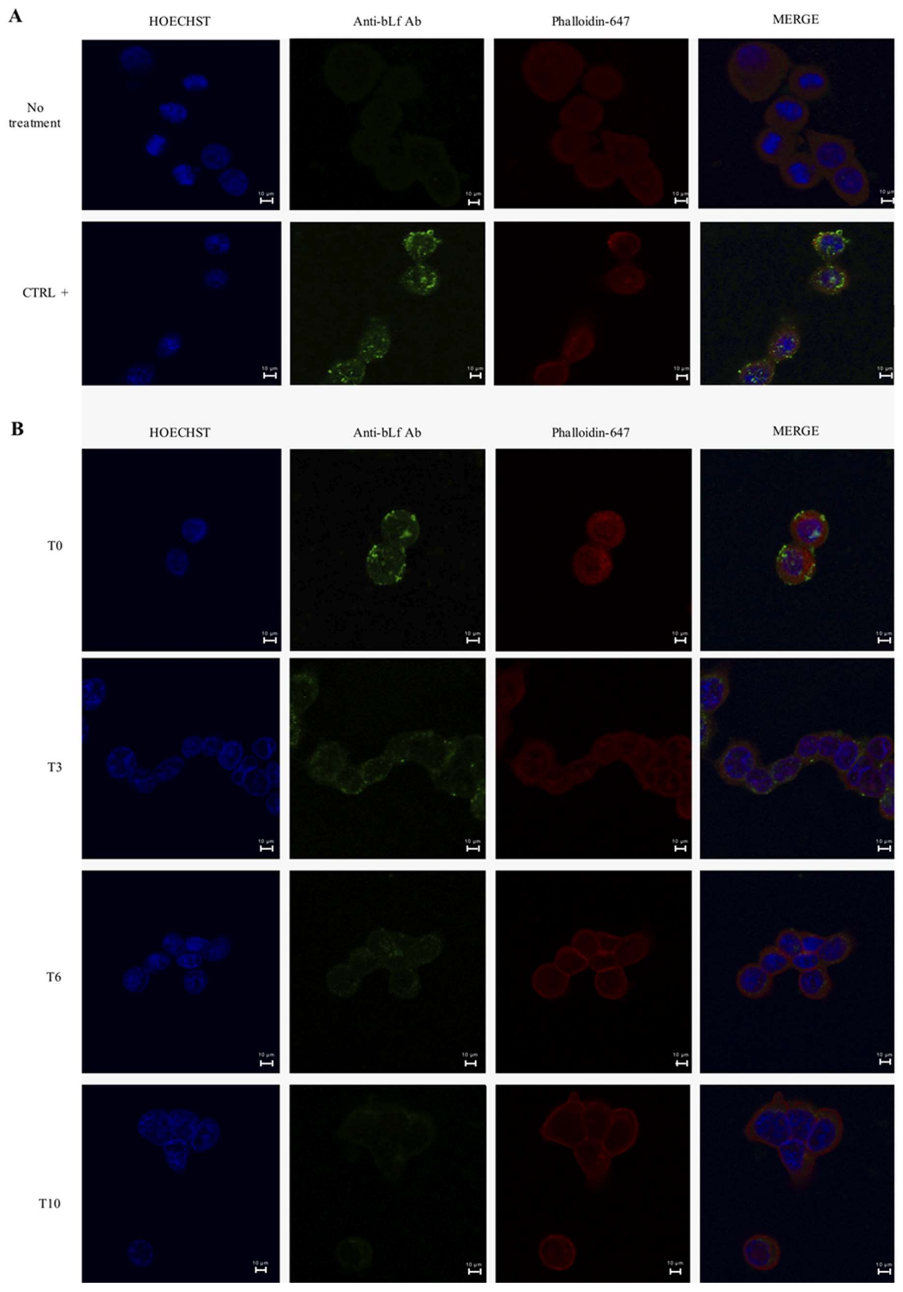 Ijms 20 05666 g003a Ijms 20 05666 g003a