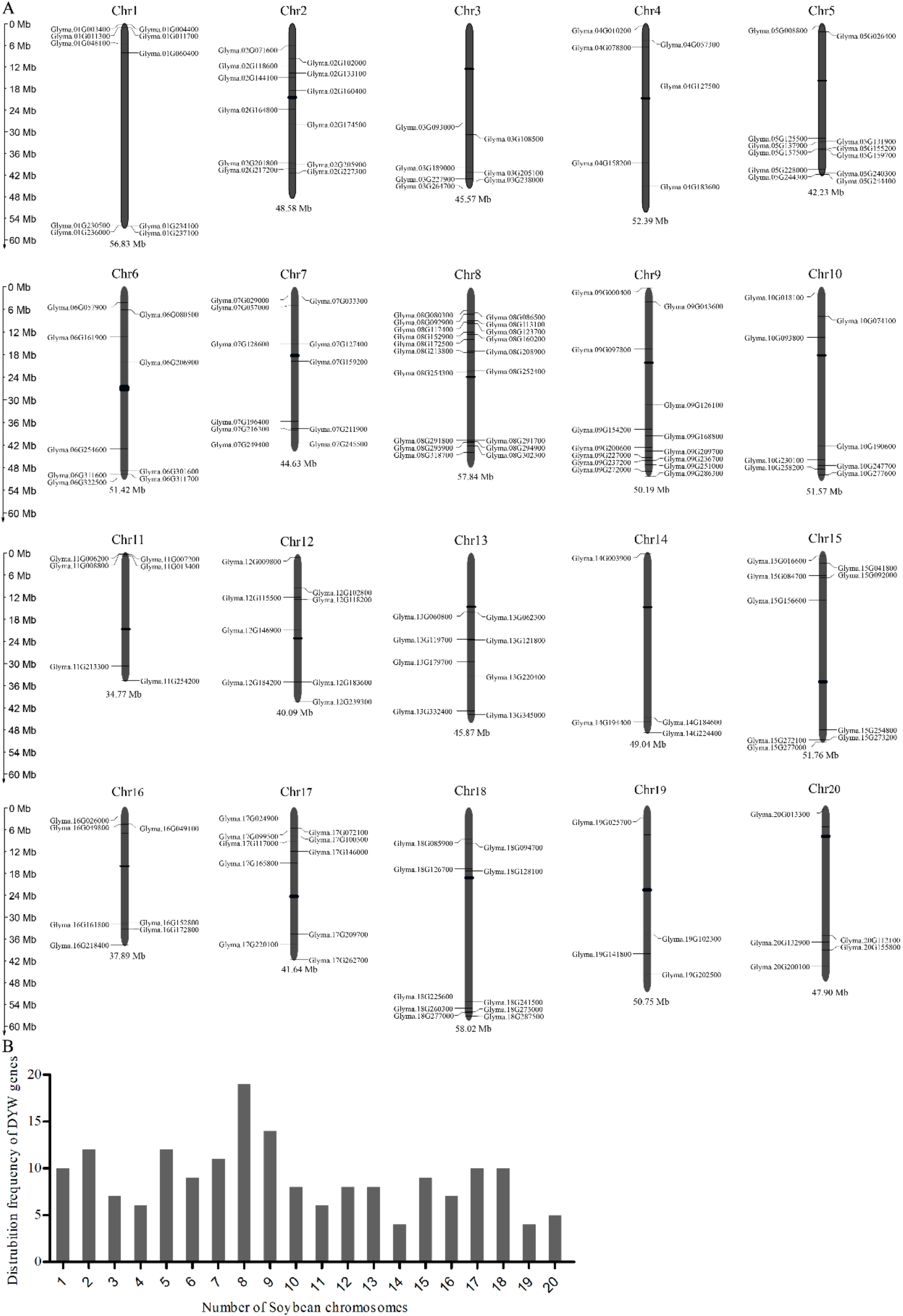 Ijms 20 05667 g002 Ijms 20 05667 g002