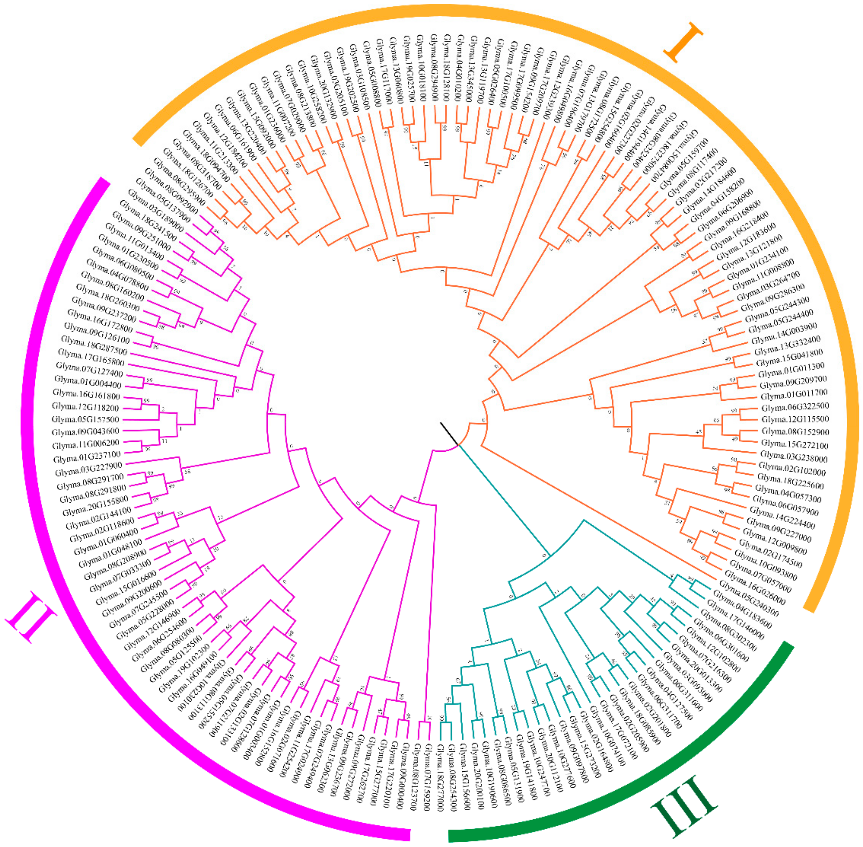 Ijms 20 05667 g003 Ijms 20 05667 g003