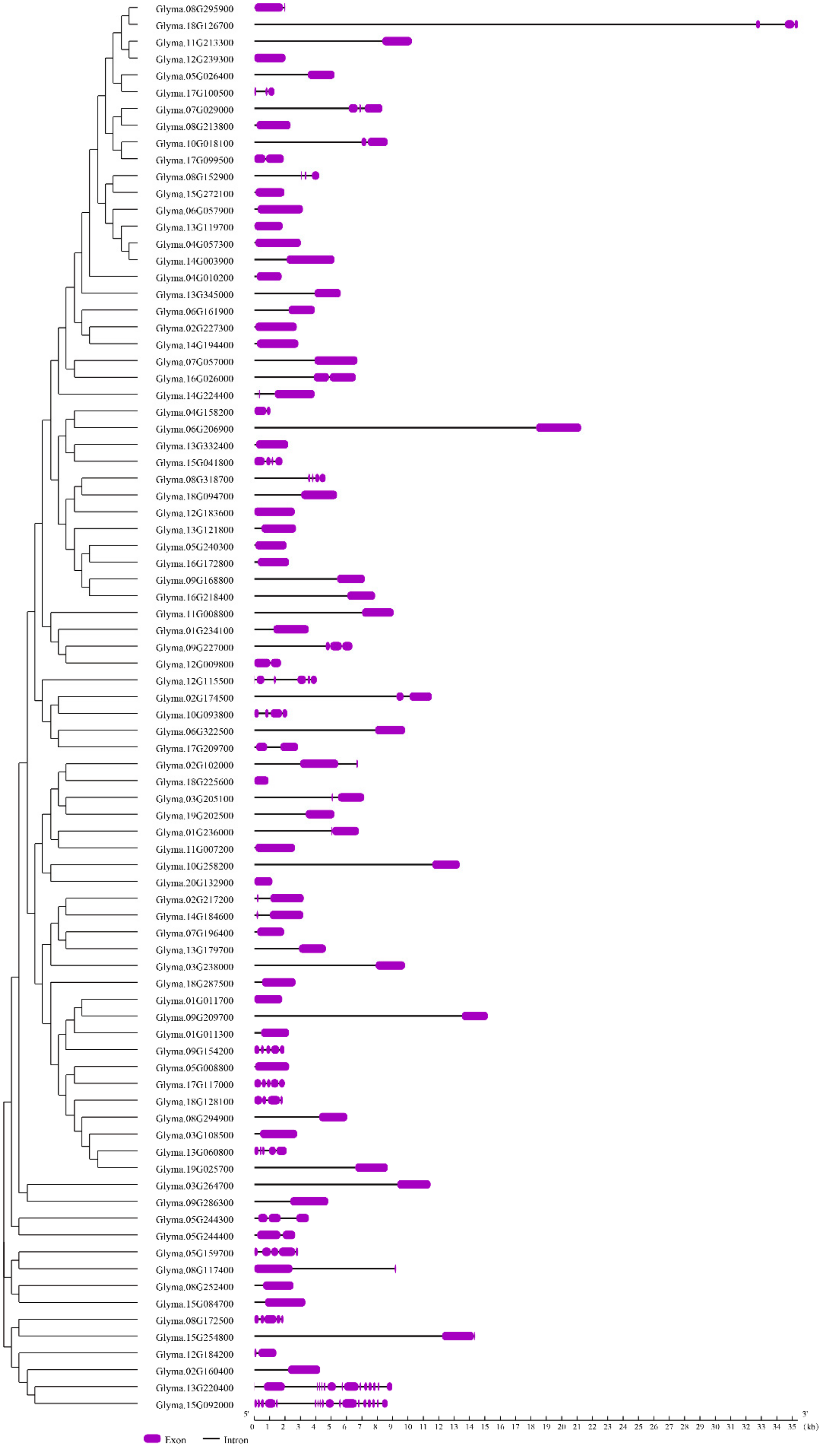 Ijms 20 05667 g005 Ijms 20 05667 g005