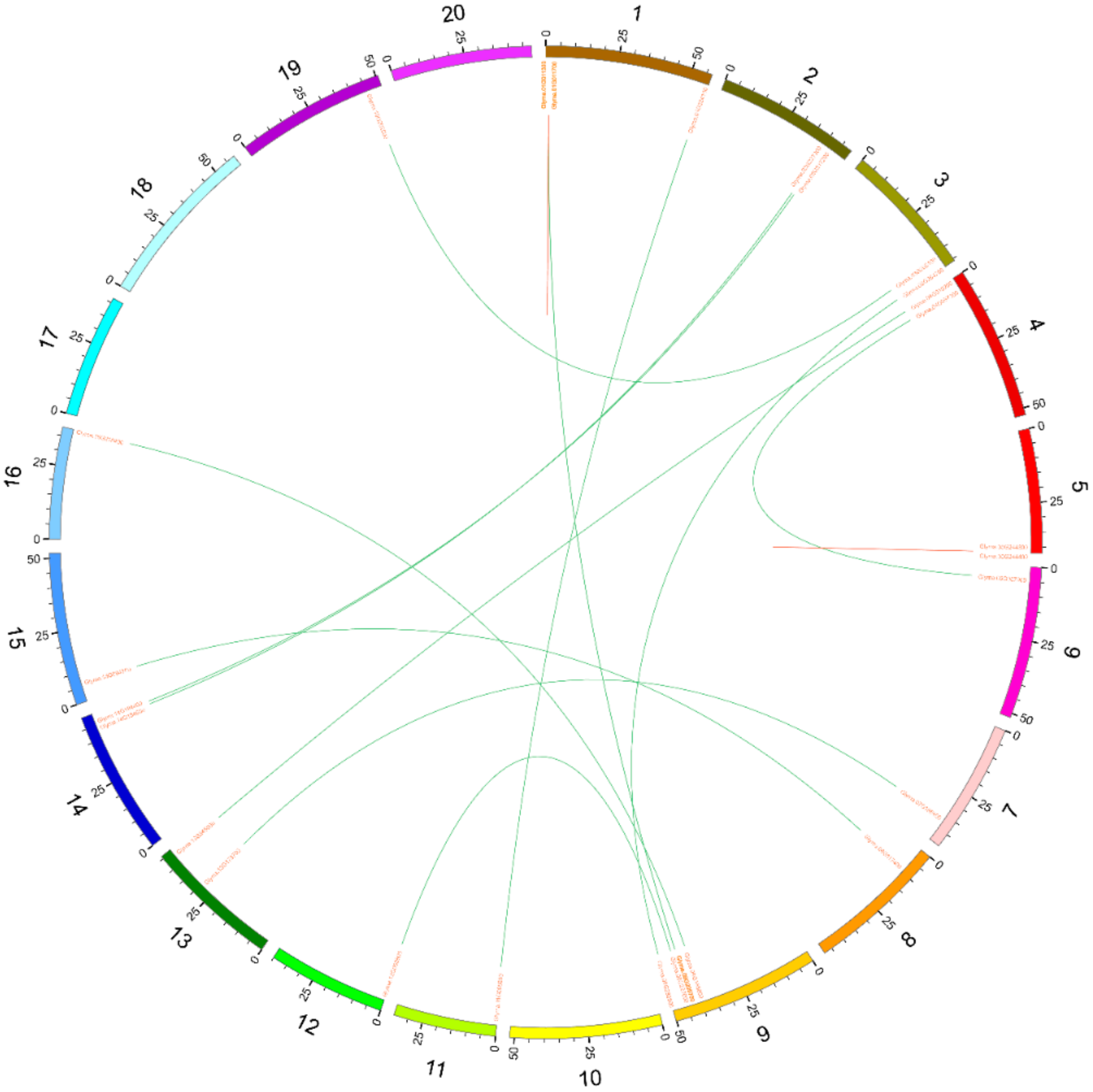 Ijms 20 05667 g008 Ijms 20 05667 g008