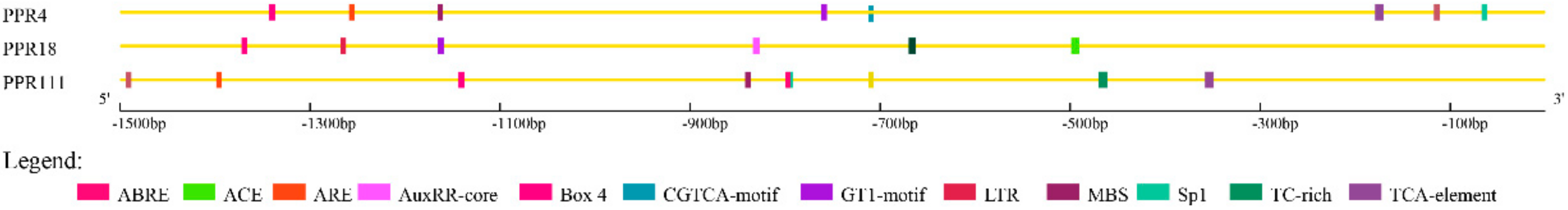 Ijms 20 05667 g010 Ijms 20 05667 g010
